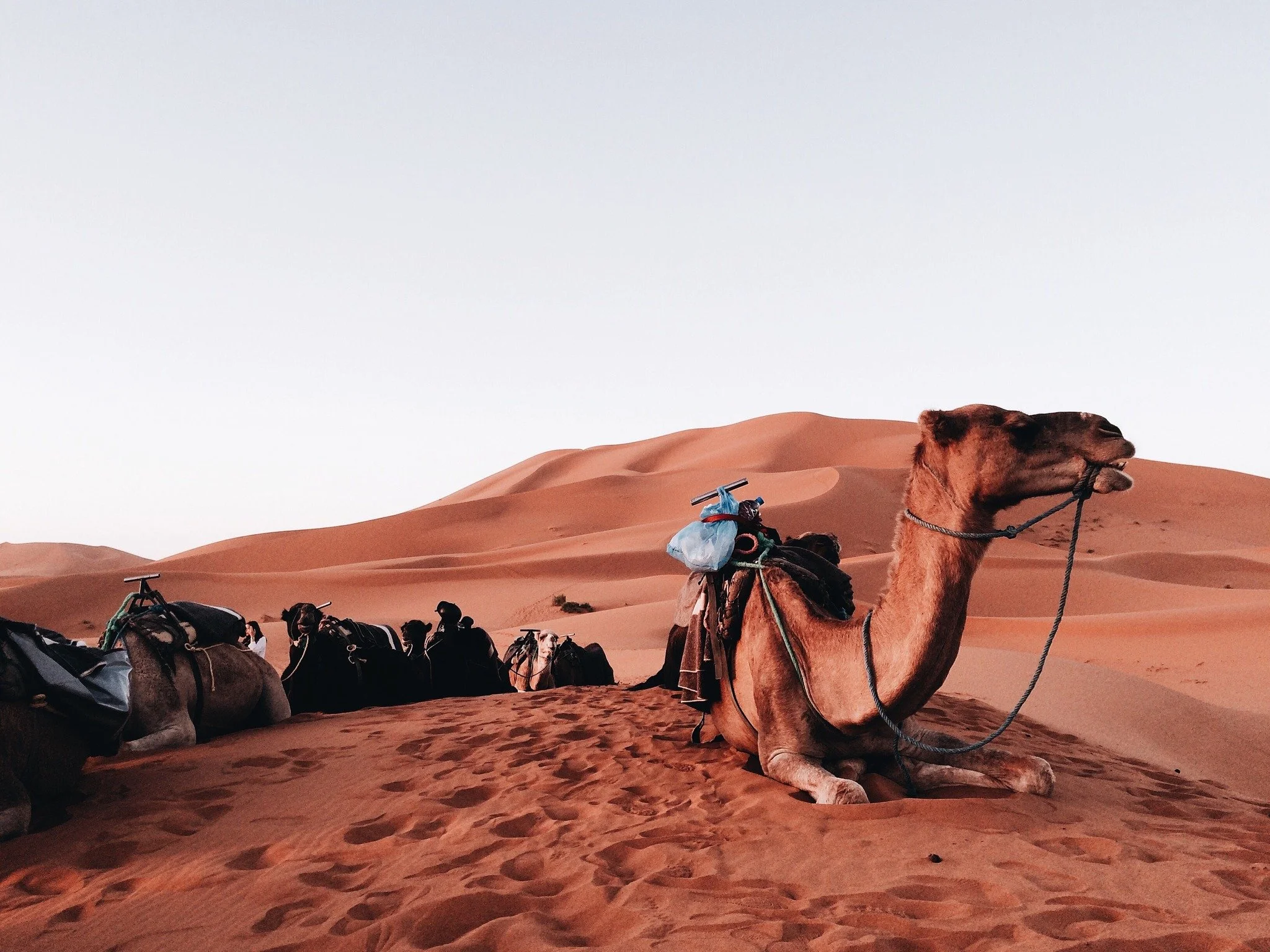 🌍 A note to our community on the Middle East situation

We know many of you are watching the news and wondering what this means for your travel plans, whether you're booked to travel already, or still contemplating your travel plans for the year ahe