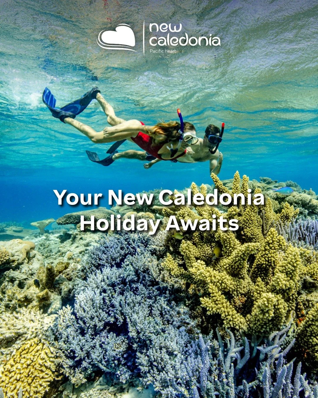 🌴✨Your Island Escape Awaits in New Caledonia ✨🌴

Swap the everyday for something extraordinary with a dreamy getaway to New Caledonia, make a special visit to &Icirc;lot Ma&icirc;tre, a slice of paradise surrounded by a 200-hectare marine reserve