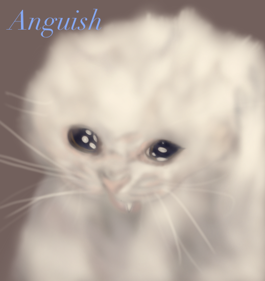 Anguish Cat Print