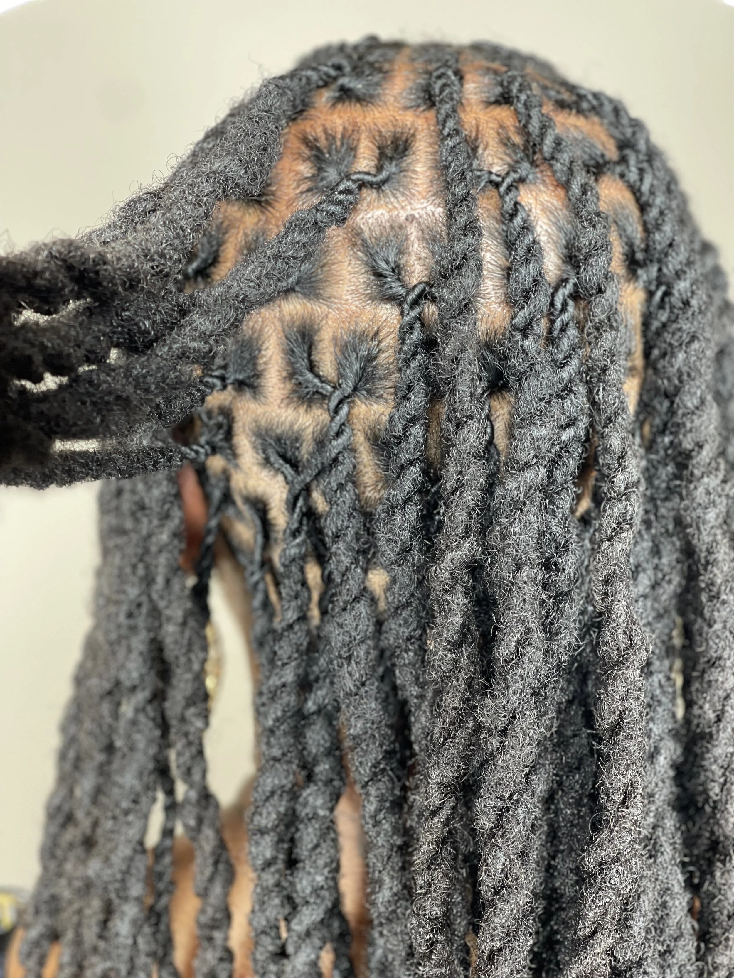 Close-up of a person's head with black dreadlocks, some styled into twists, with skin visible at the scalp, and a plain off-white background.