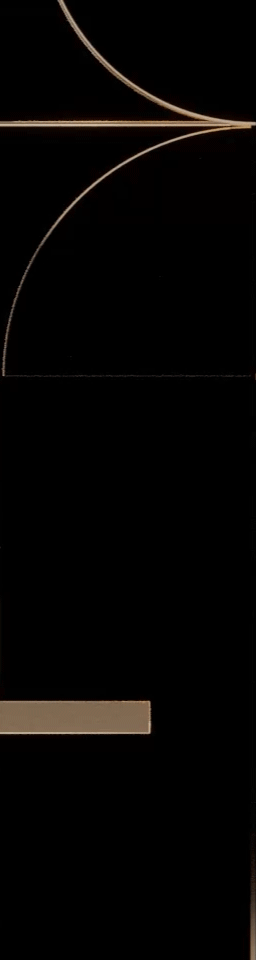 Minimalistic black background with curved, glowing gold lines.