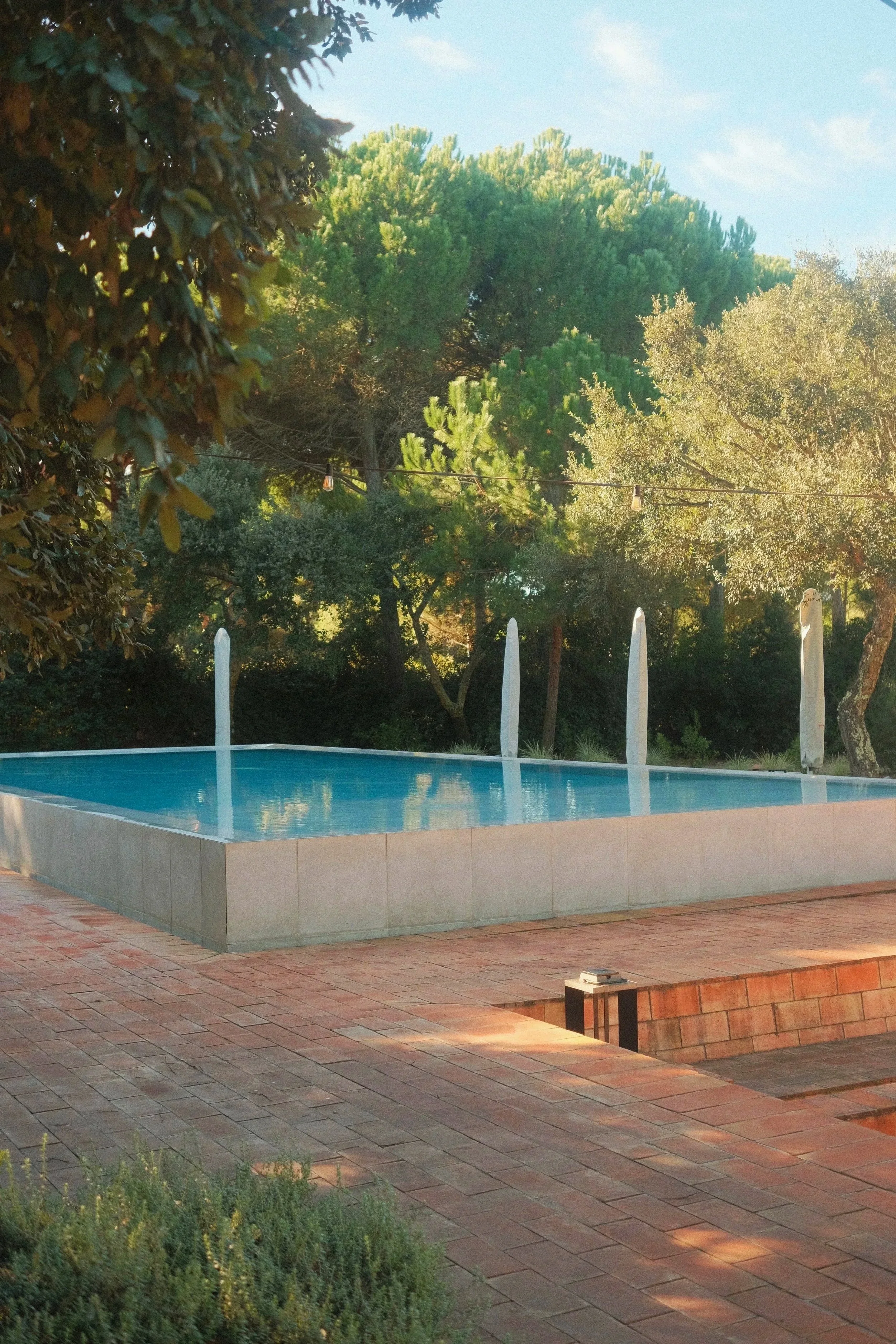 An image of Greenspacing.