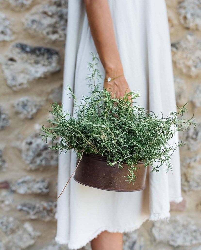 Person holding a brown pot with green leafy plant, wearing a white dress and a gold bracelet, in front of a stone wall.