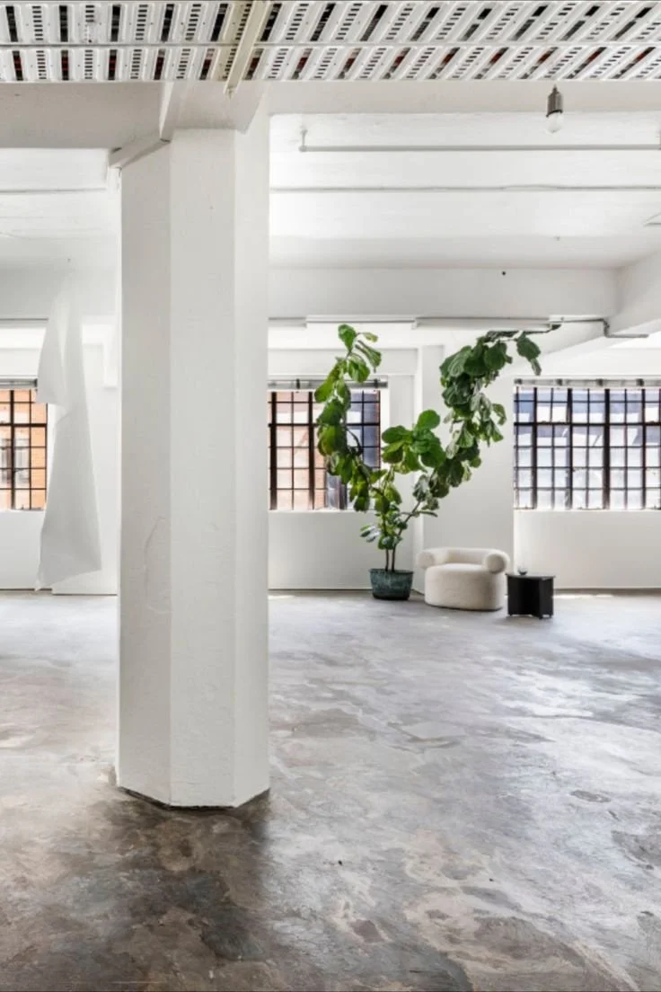 Bright, open room with white walls and ceiling, large windows with grid frames, concrete floor, a tall indoor plant in a pot, a white lounge chair, and small side tables.
