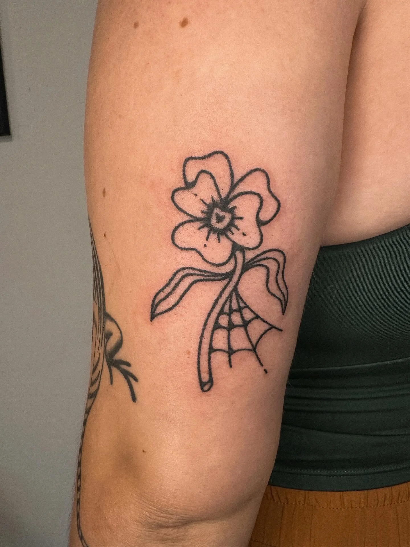 handpoked pansy 🕸️