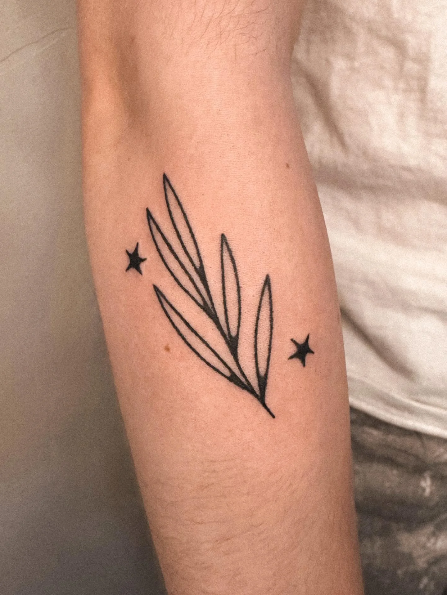 ⭐️ 🌿