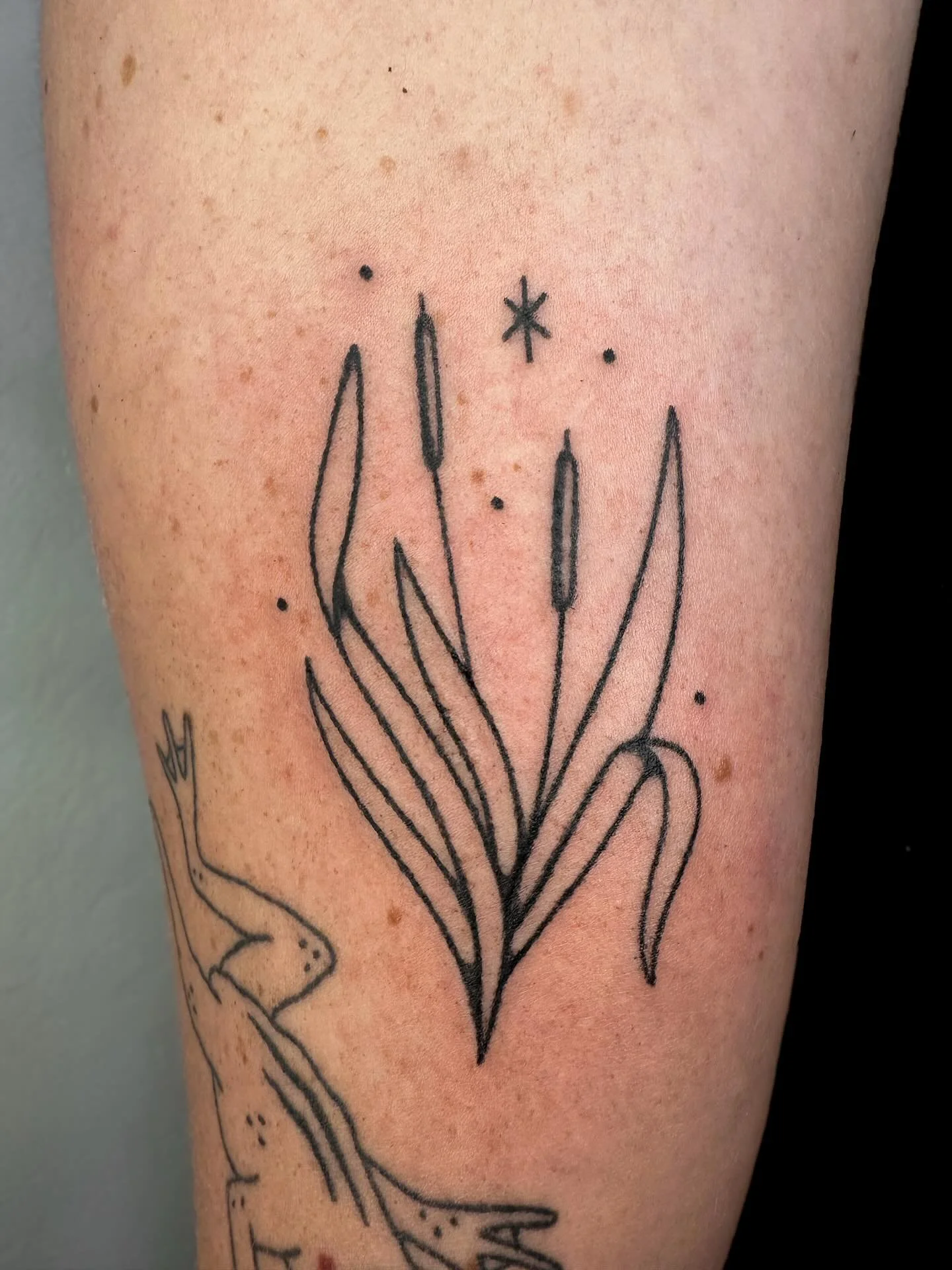 handpoked cattail plant! next to a healed frog friend💚