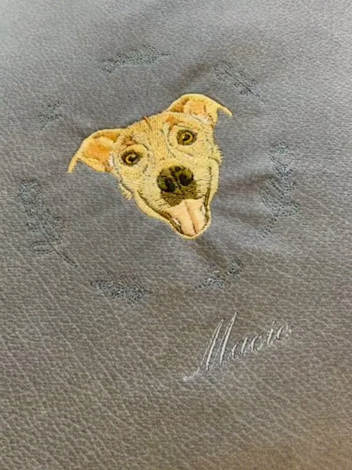 BTS of embroidering Macie onto a pillow 
.
.
.
#embroidery #dog #homedecor #art #pet #petportrait #doggo #petart