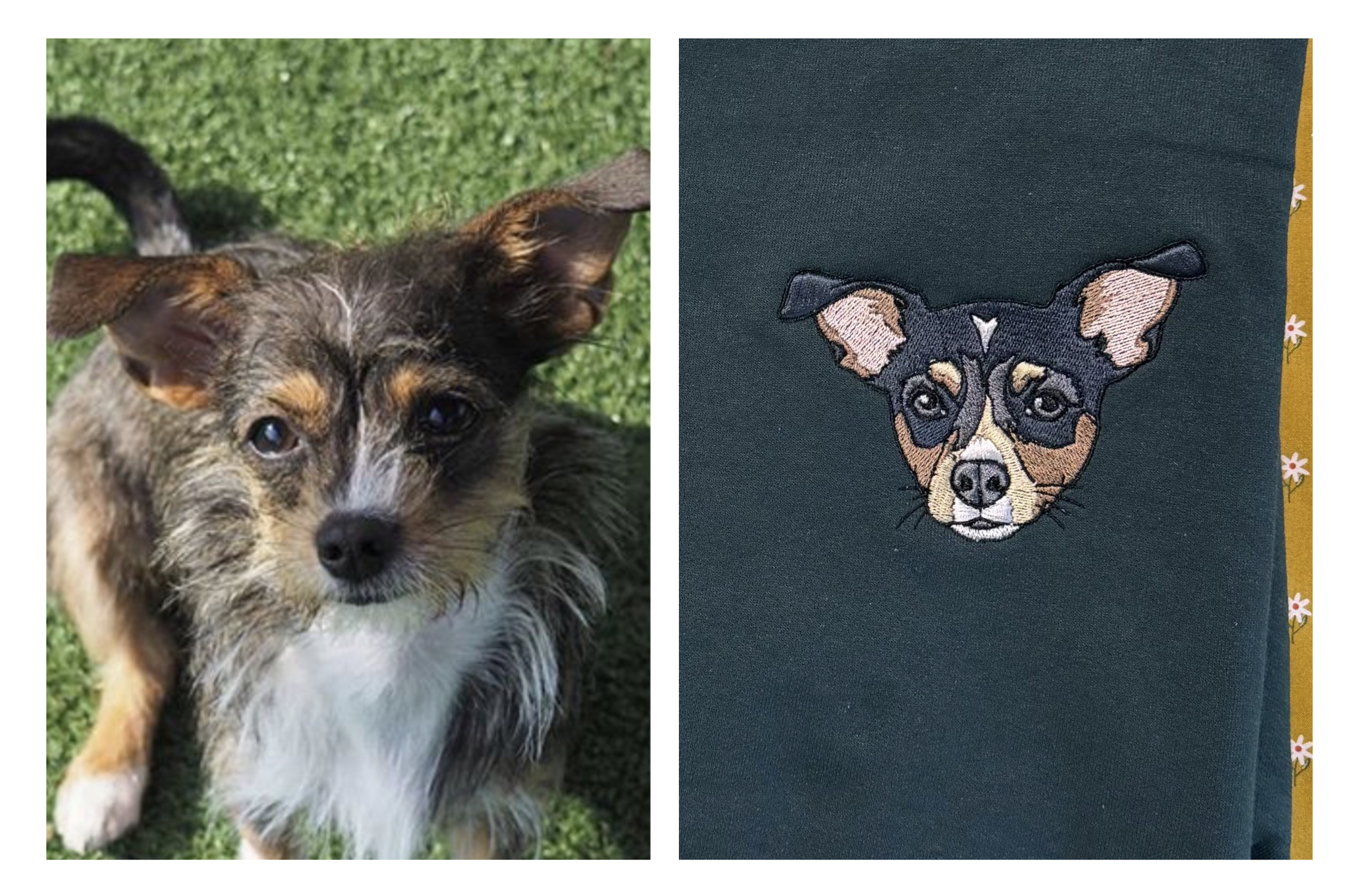 Screenshot 2026-01-31 at 7.05.44 PM.png