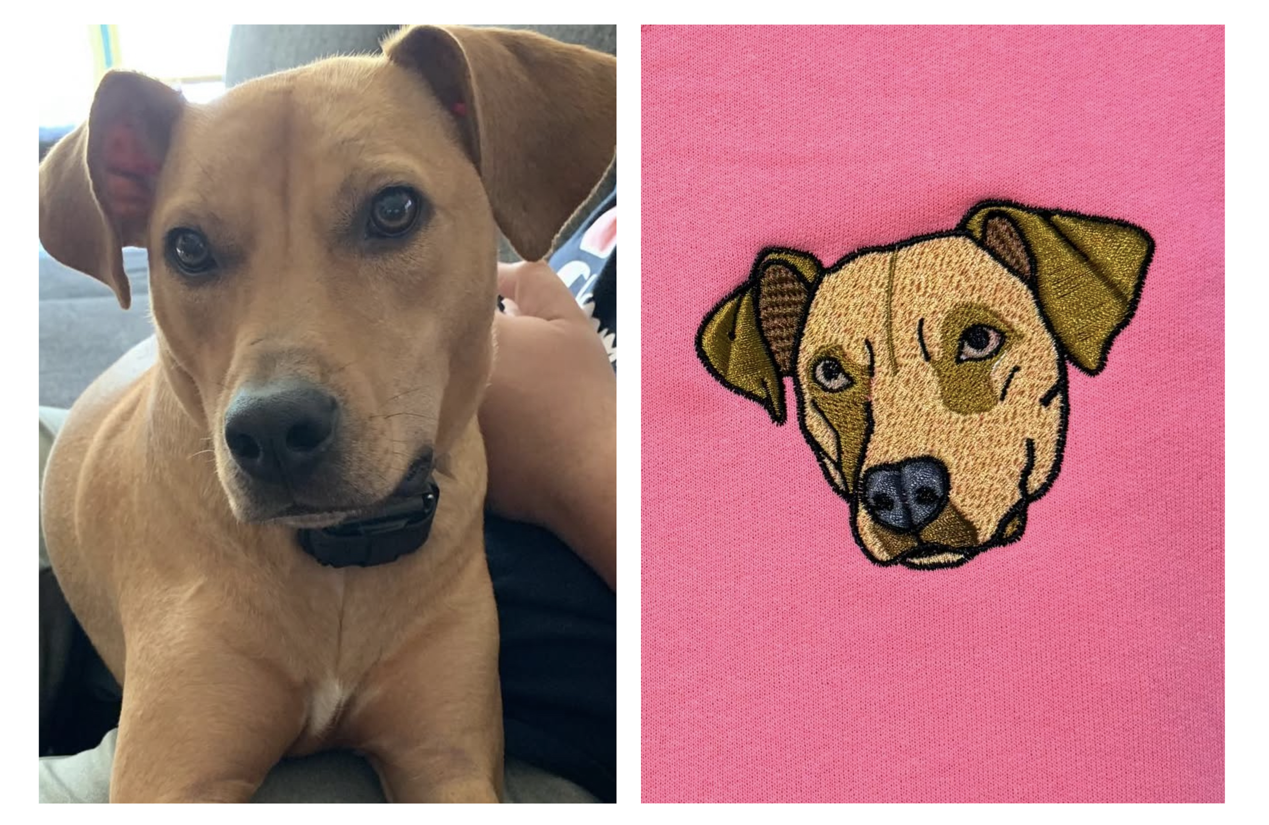 Screenshot 2026-01-31 at 7.05.59 PM.png