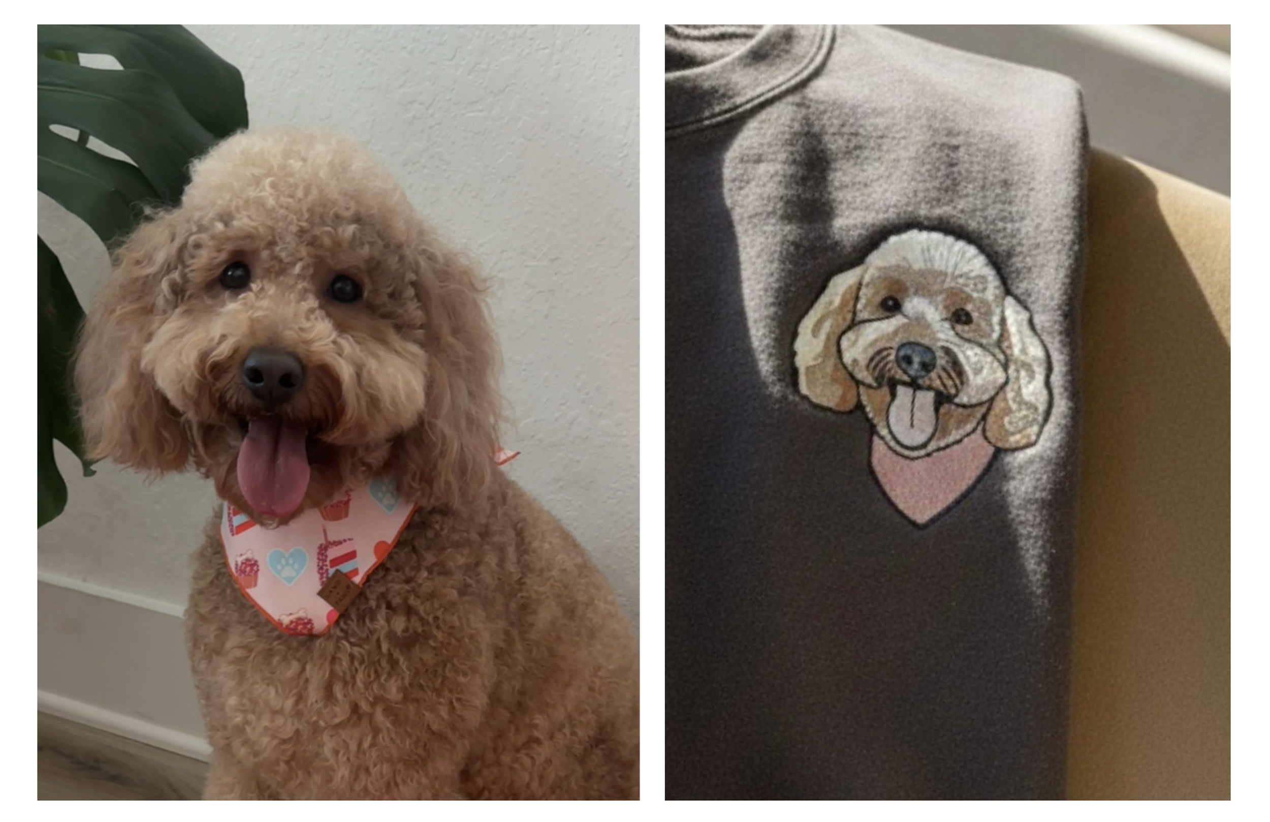 Screenshot 2026-01-31 at 7.06.36 PM.png