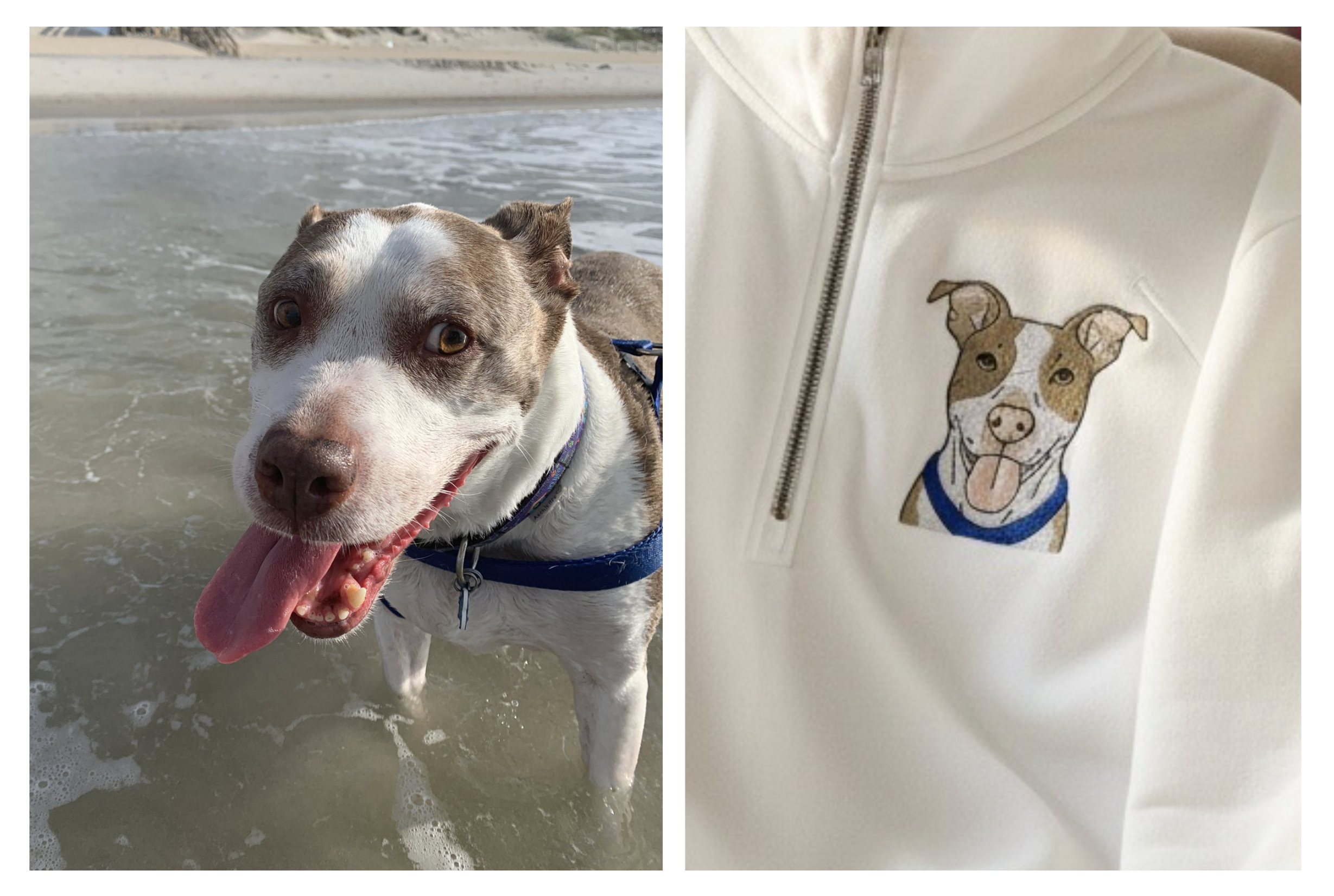 Screenshot 2026-01-31 at 7.06.16 PM.png