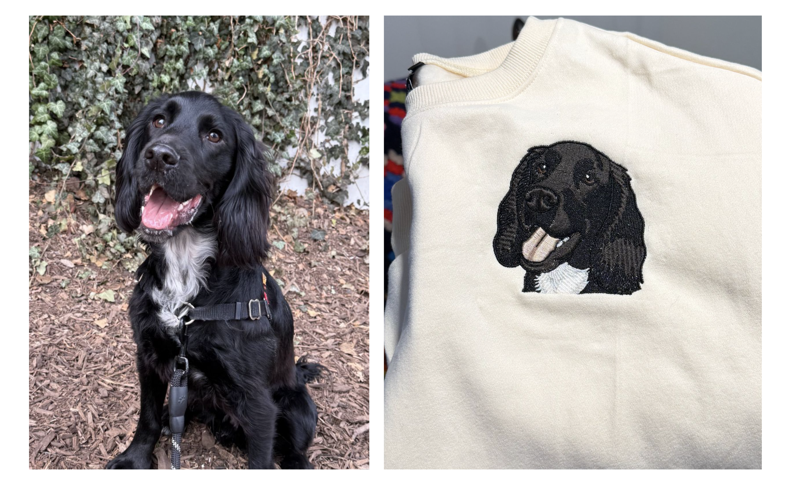 Screenshot 2026-01-31 at 7.05.17 PM.png