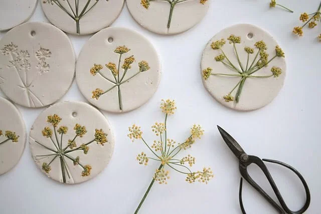 Clay and Flower Classes