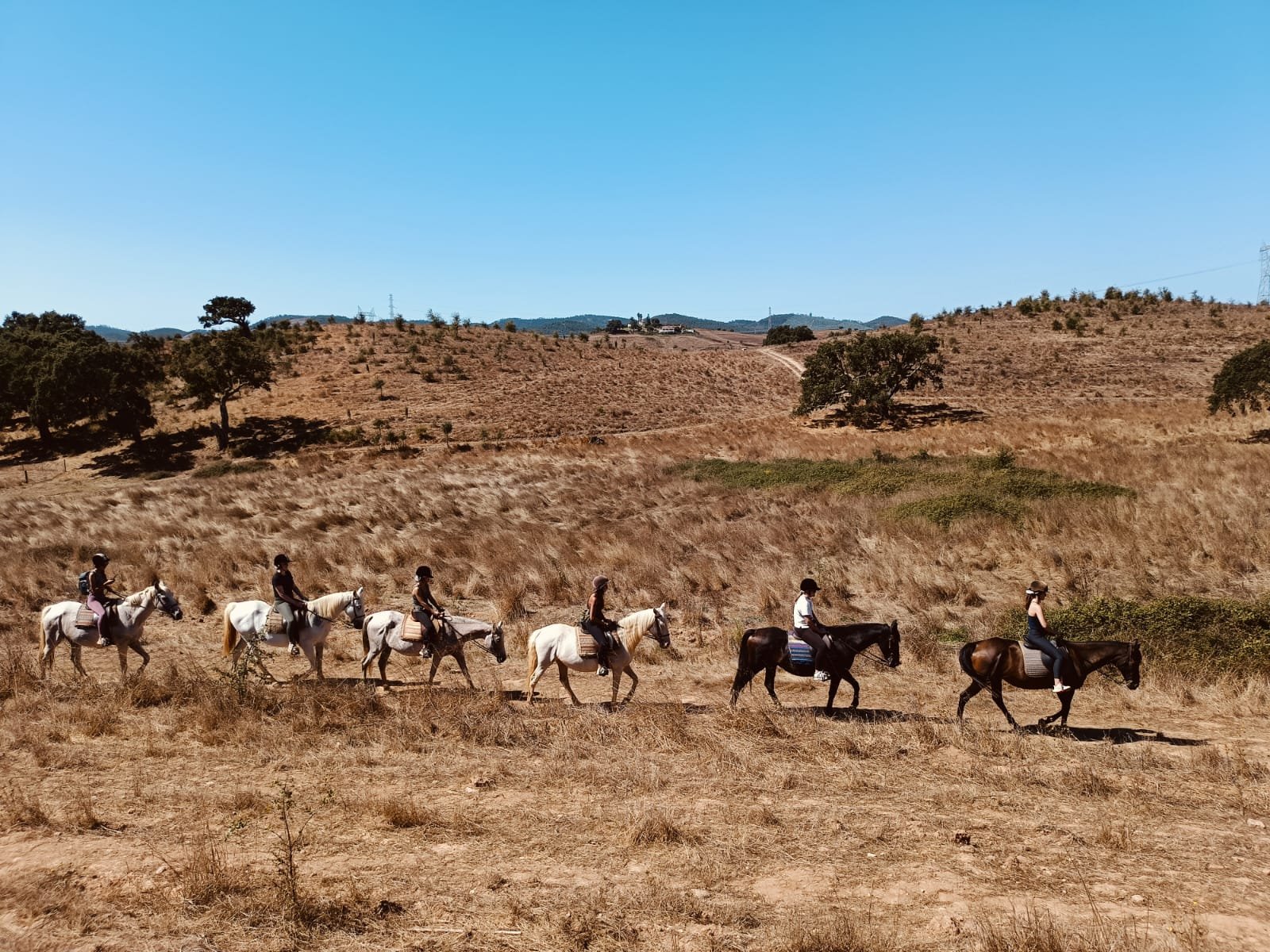 WhatsApp Image 2025-09-26 at 14.00.47.jpeg