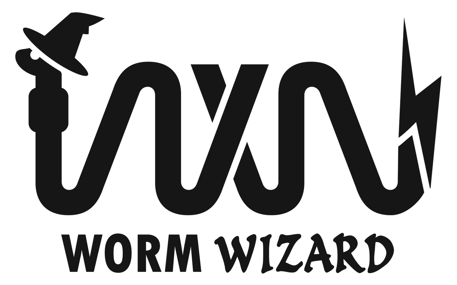 Worm Wizard
