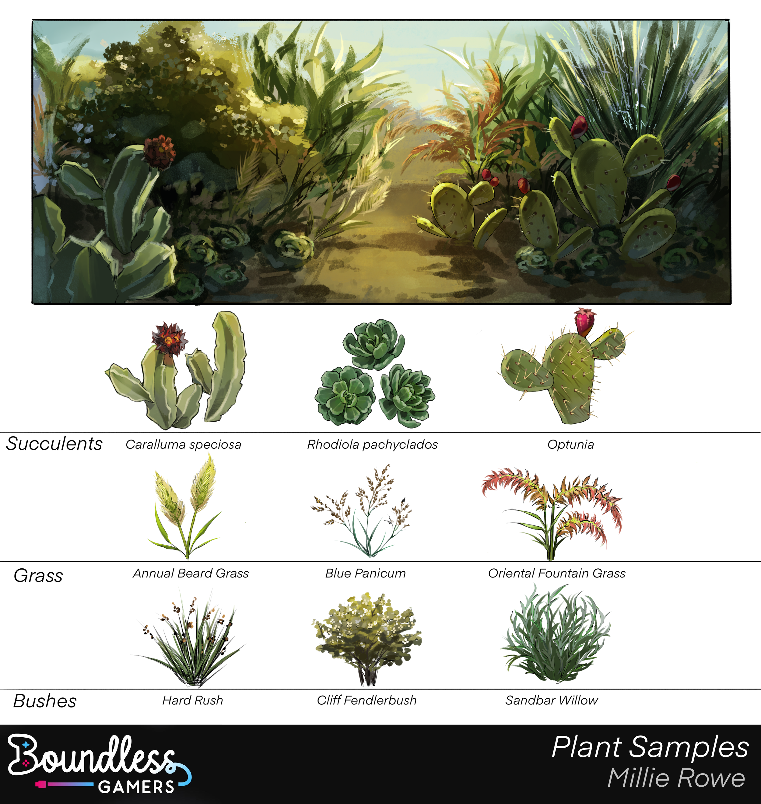 Plant Sample.PNG