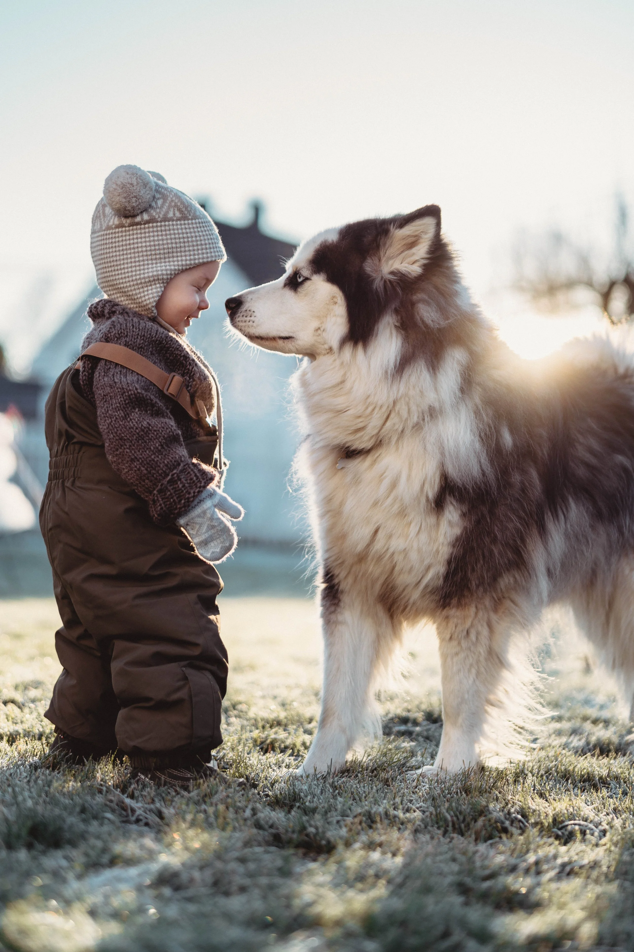 Fotograf til familiebilder i Drammen med barn og dyr