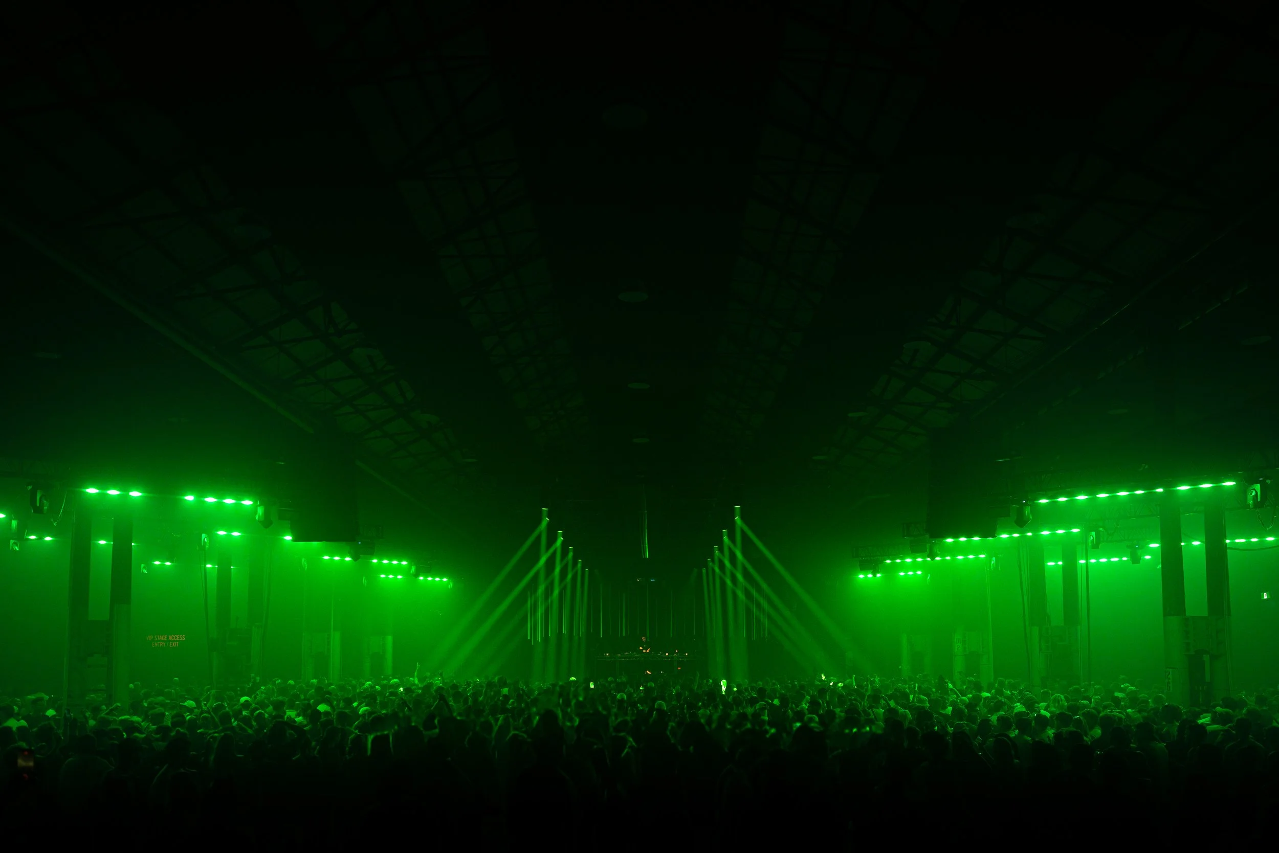 Bibi @deren.visuals-21.jpg