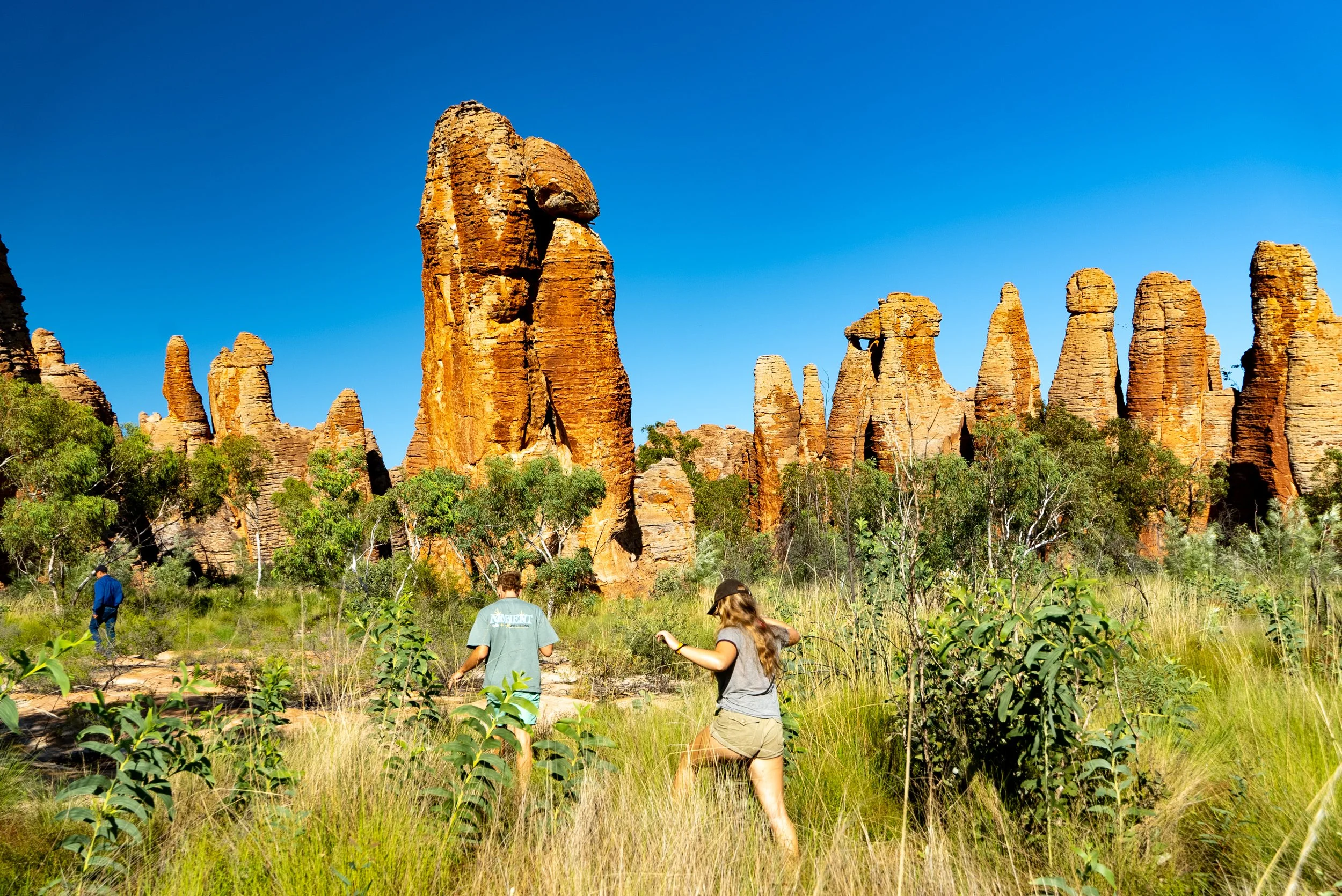 Cape Crawford, The Lost City, Northern Territory, Tour Experience. , People walking through a grassy landscape with orange rock formations and tall trees under a clear blue sky.