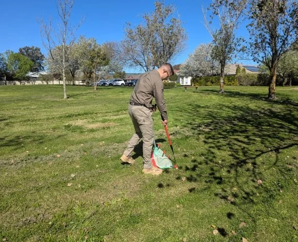A man in uniform is standing on a grassy lawn holding a pooper scooper on the ground in front of him, pretending to undertake a commercial Pet Waste Removal (dog poop cleanup) service.