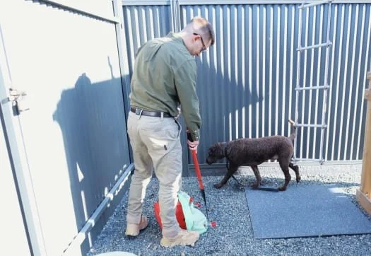 A man in a green shirt and khaki pants holding a pooper scooper tool pretending to undertake Dog Waste Removal, standing on a gravel surface in a fenced outdoor area. A dark curly-coated dog is near a climbing rope ladder.