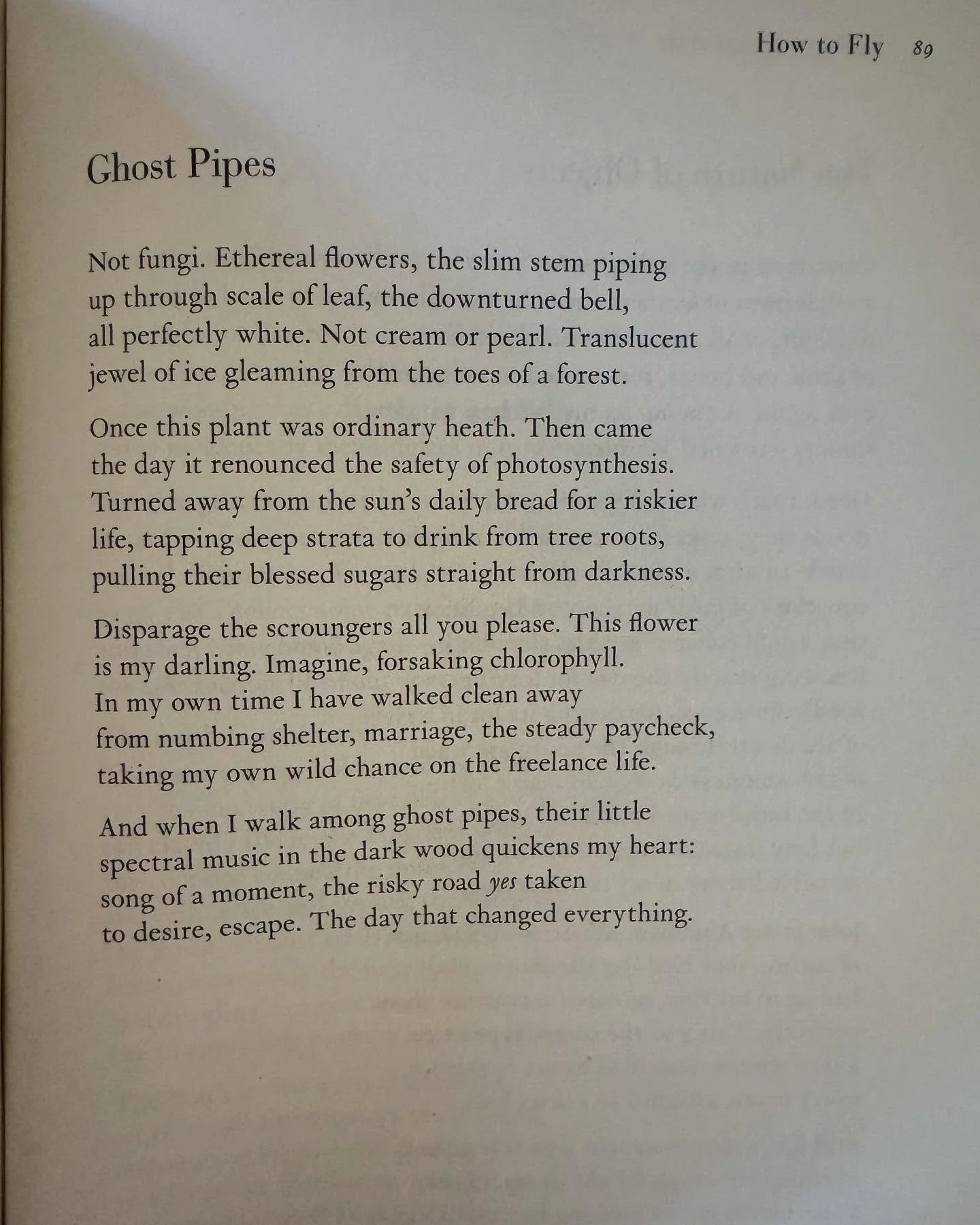 Ghost Pipes by Barbara Kingsolver from How To Fly (In Ten Thousand Easy Lessons). ⚡️ Don&rsquo;t be afraid to do the radical thing. Follow your own freaky flag. #poetry