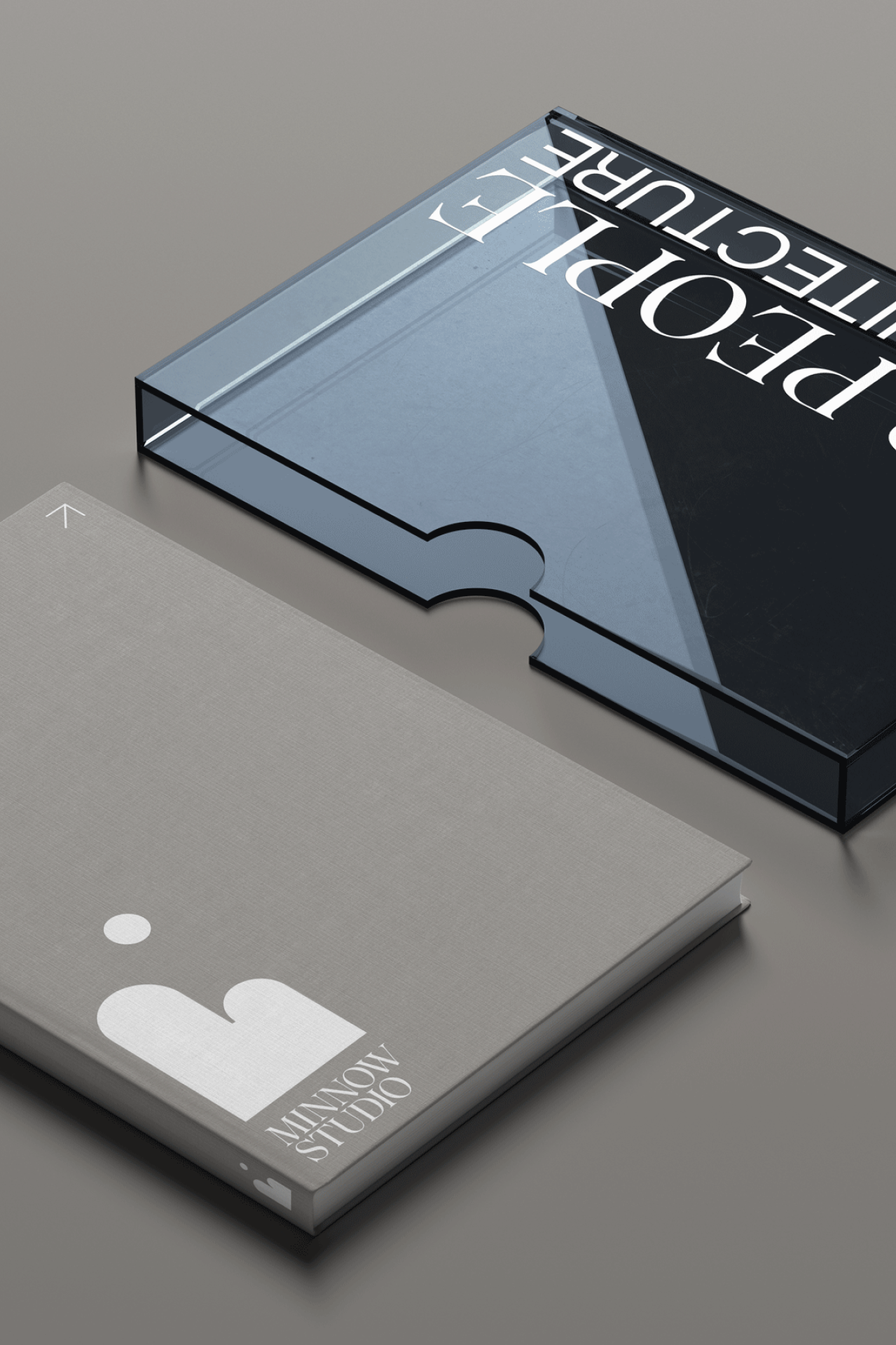 DowlingDowlingYoung-MinnowStudio-Identity.png