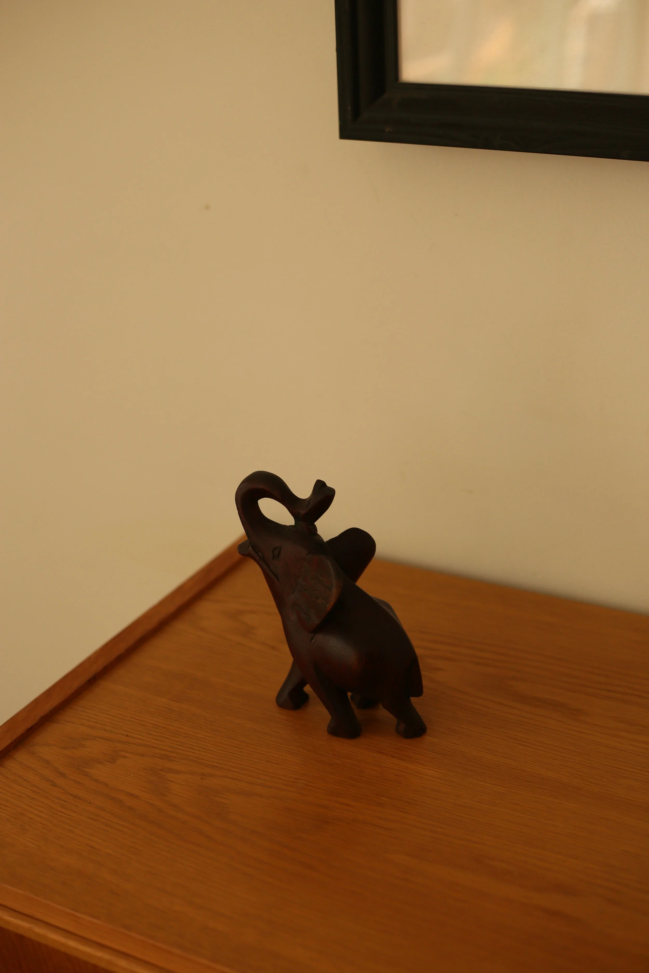 509A7721.JPG