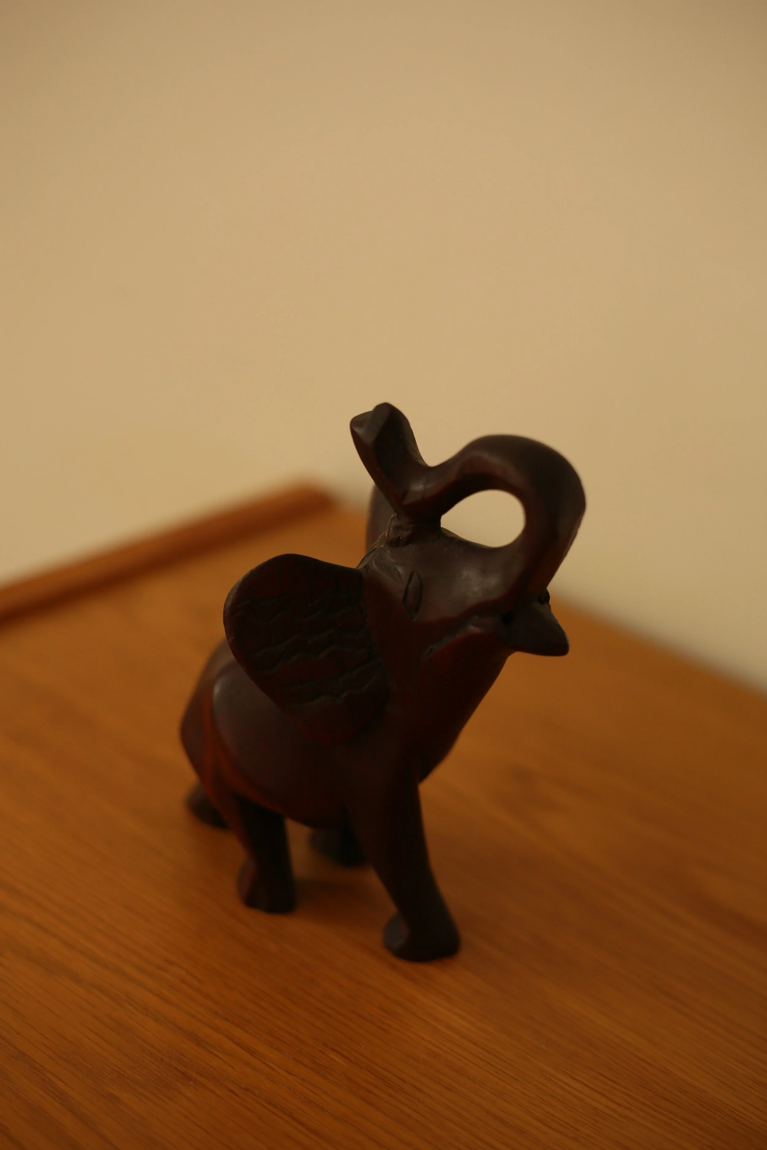 509A7726.JPG