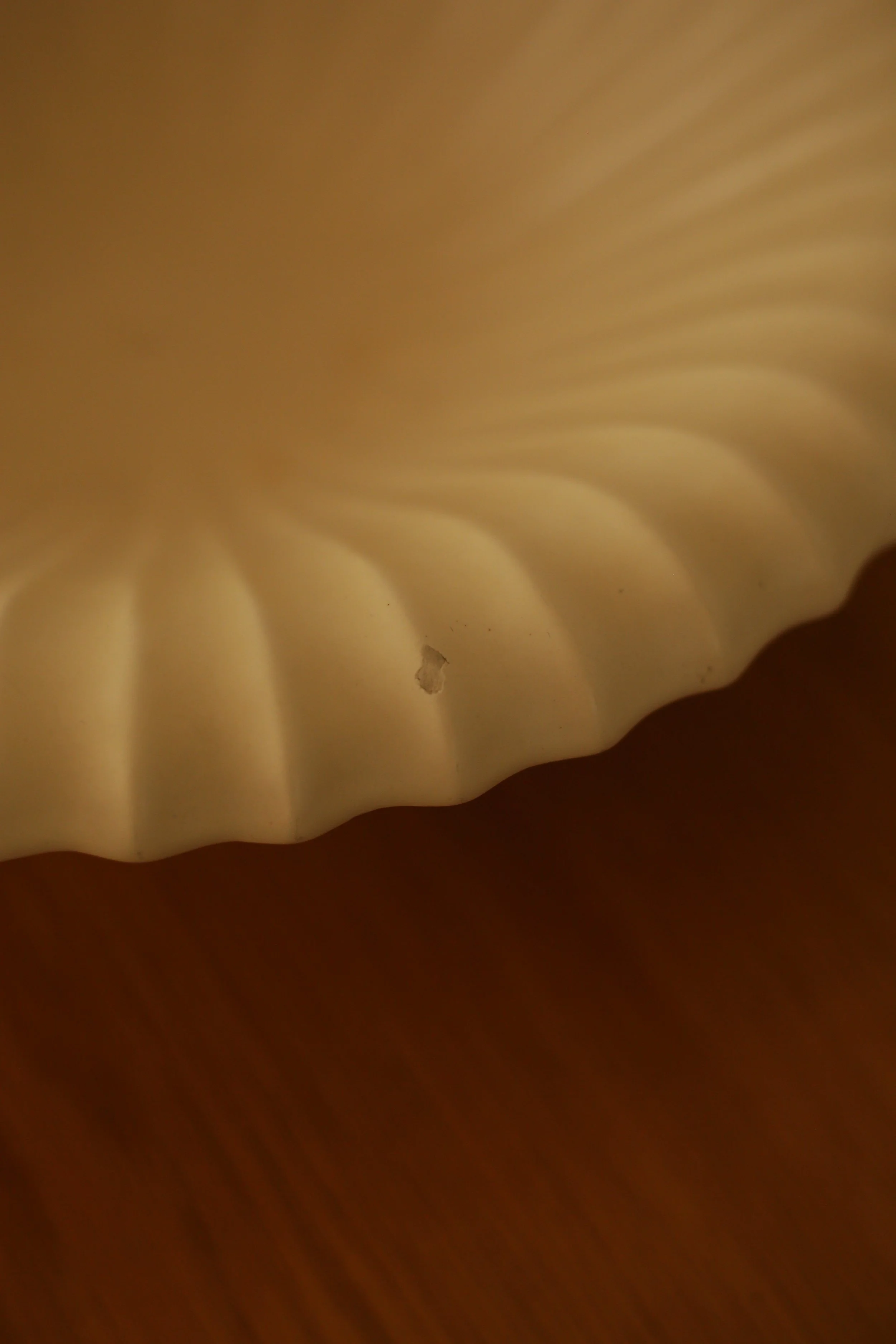 EC7DCD97-B8D2-4A75-9F03-5930126B153A.JPEG
