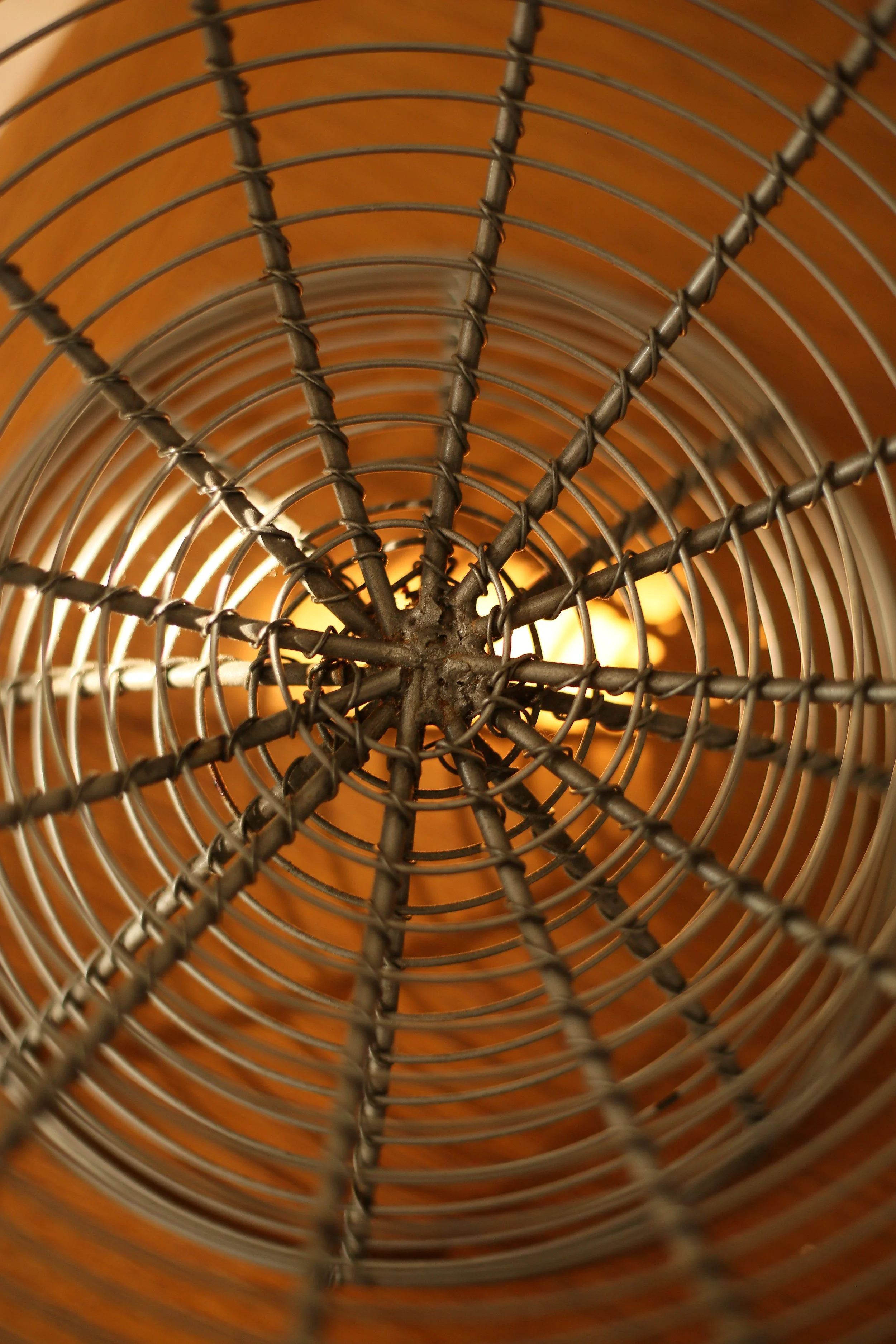 1B7B572D-A652-4829-B3E4-9EC0705C305F.JPEG