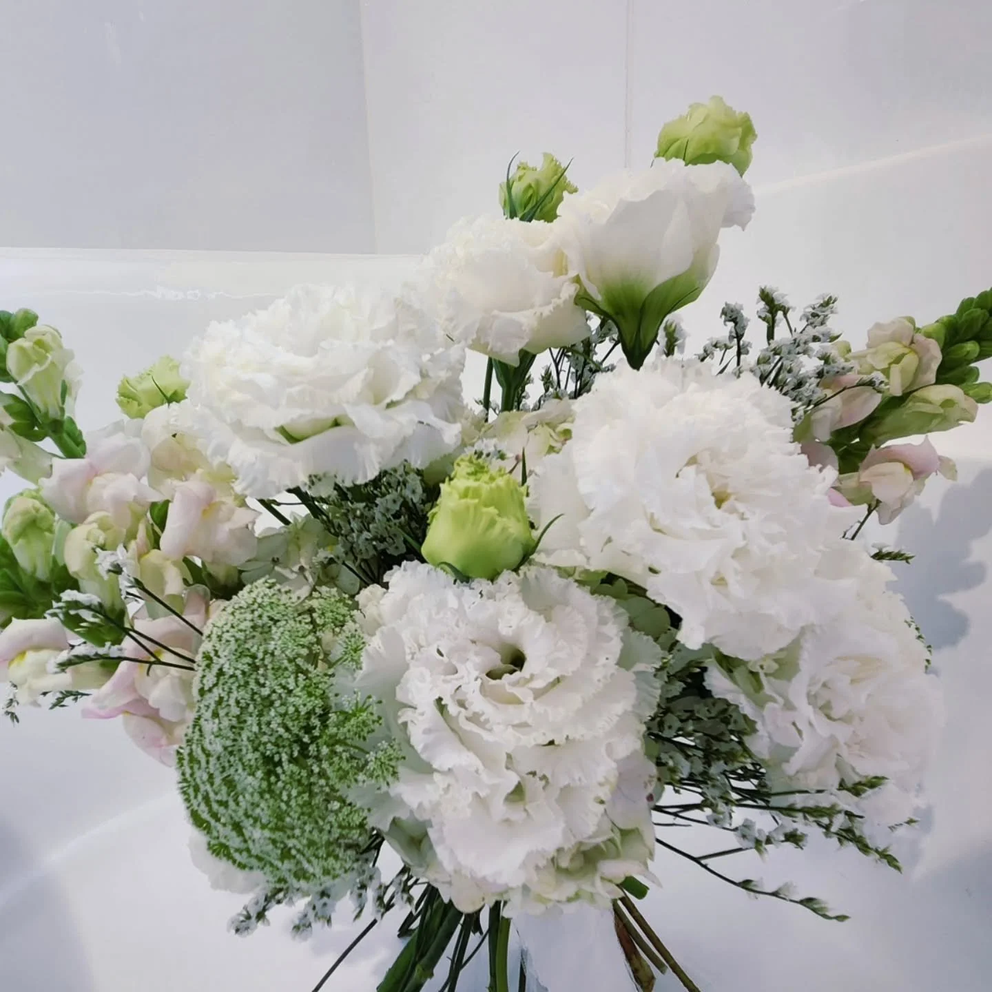 🤍✨ The fluffiest lisianthus doing what it does best- stealing the show! 🤍✨
Soft, ruffly, and totally extra (in the best way).
A bouquet full of movement, texture, and quiet luxury.
⠀⠀⠀⠀⠀⠀⠀⠀⠀
Crafted with care by Arrch Floral Design | Canberra
Now w