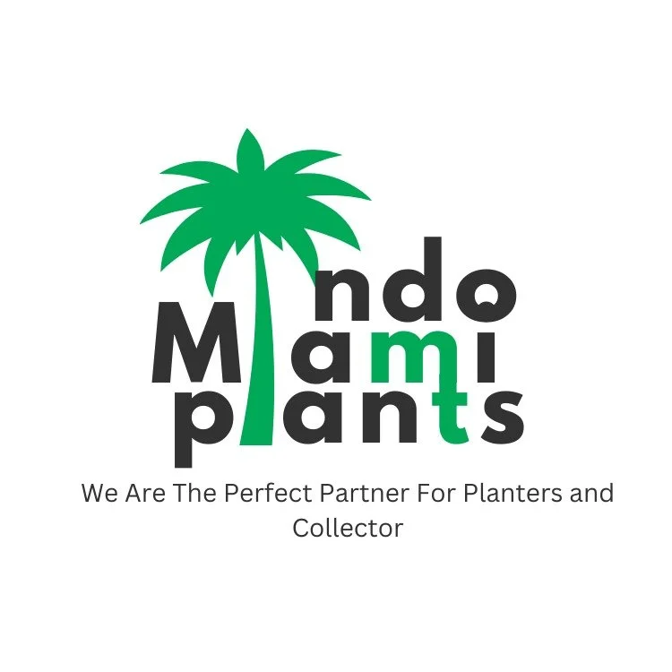 Indo Miami Plants (Copy)