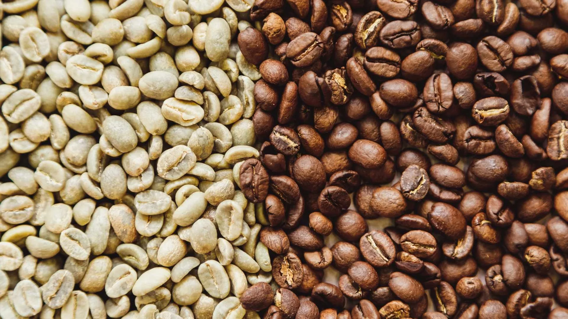 Rösten verstehen,                              um besser zu brühen