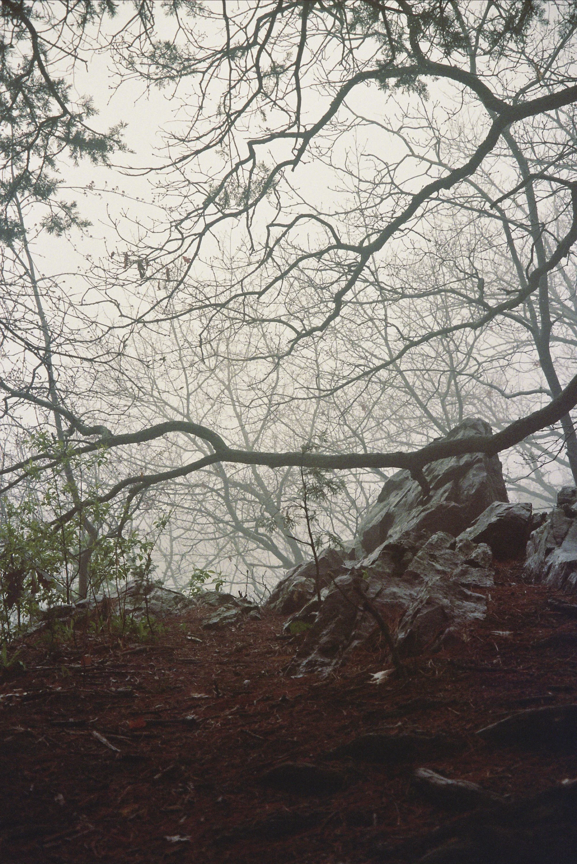 25A_0084.jpg
