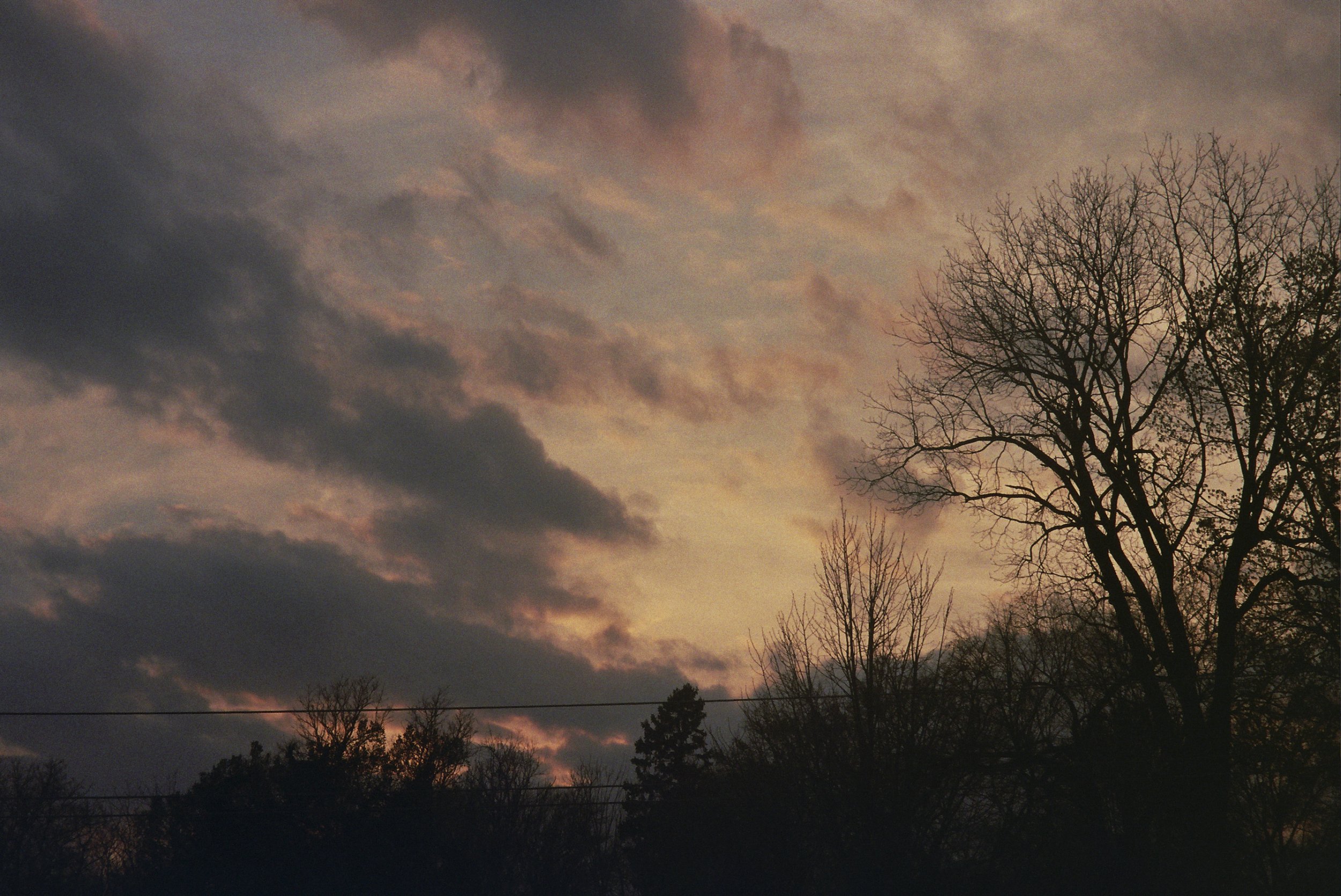 _7A_0230.jpg