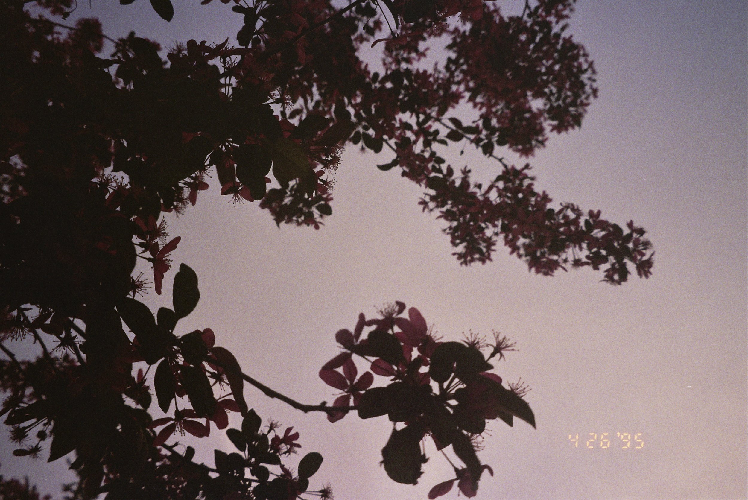 __4_0185.jpg