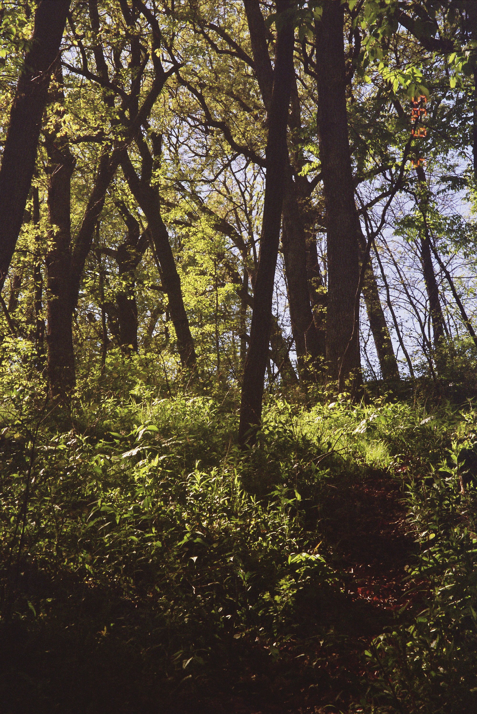 _25_0164.jpg