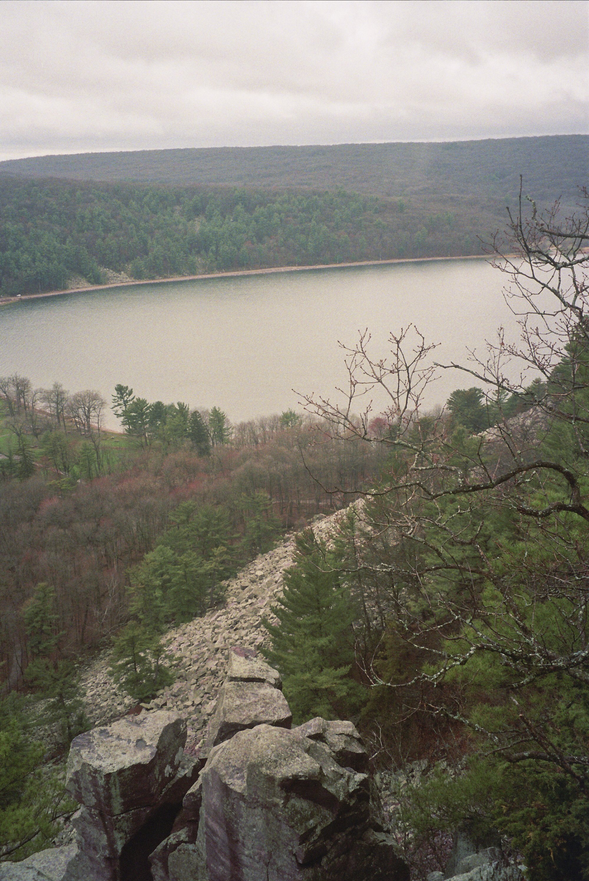 29A_0080.jpg