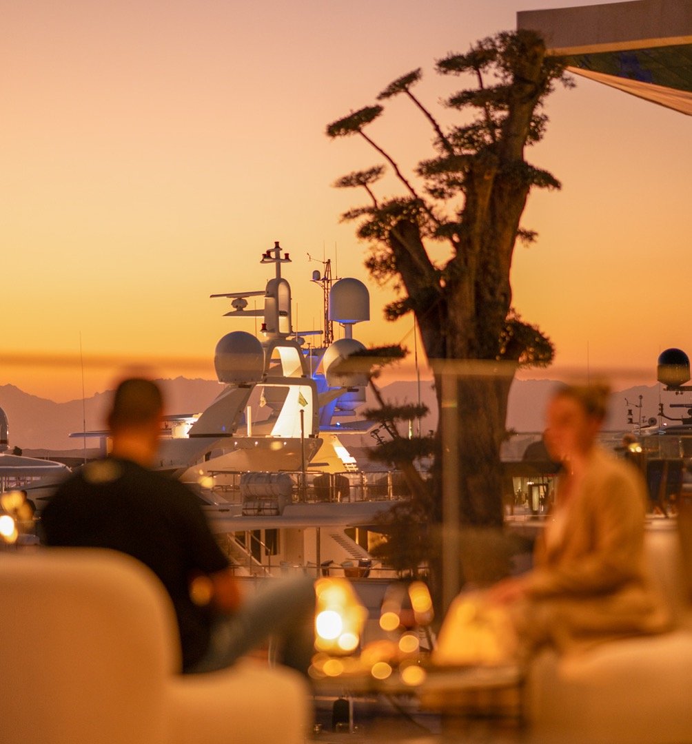 Two people sitting and talking in an outdoor seating area at sunset, with yachts docked in the background and a large tree nearby.