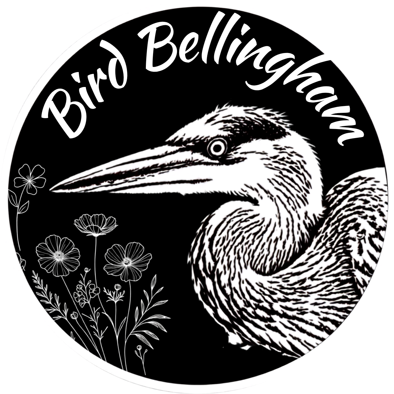 Bird Bellingham