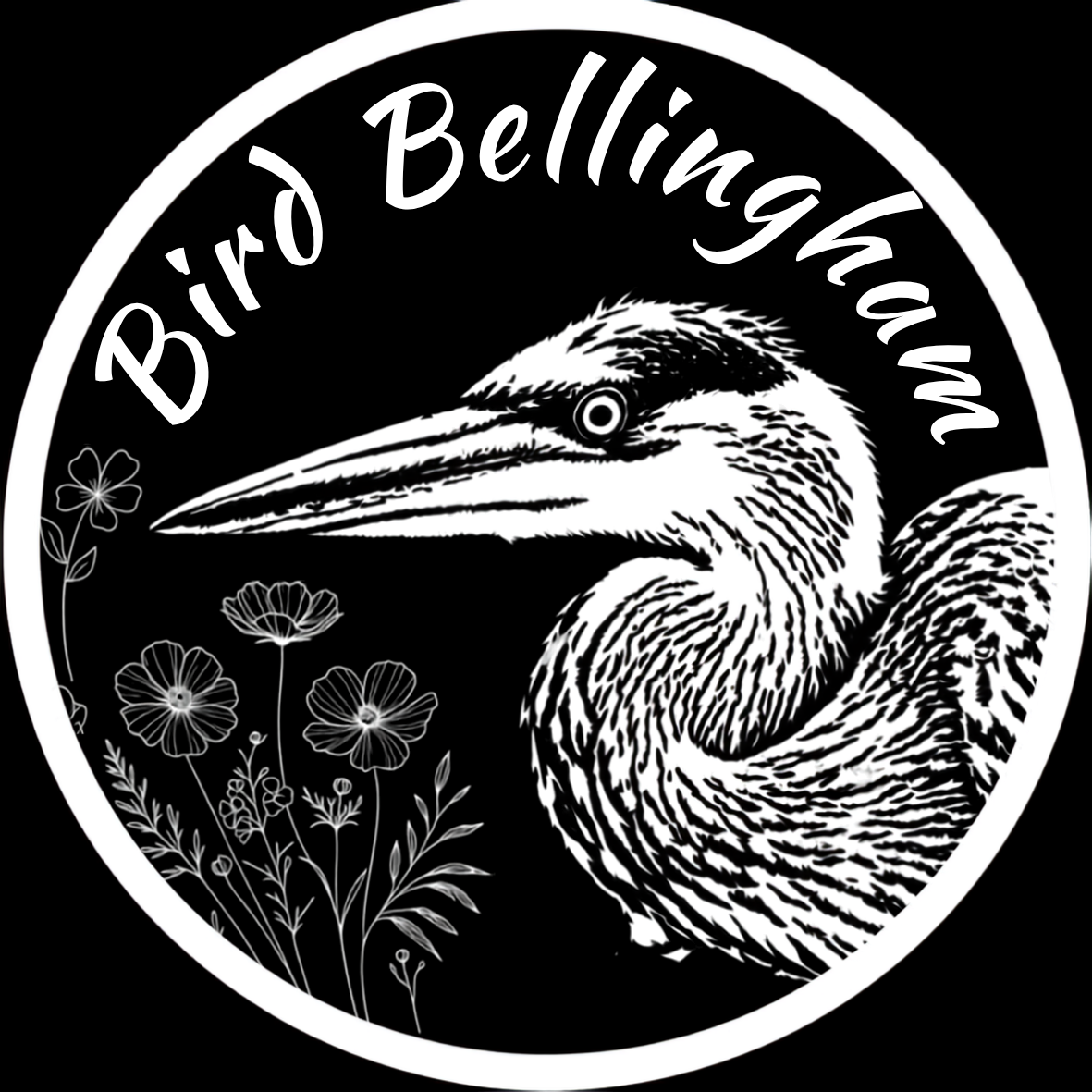 Bird Bellingham