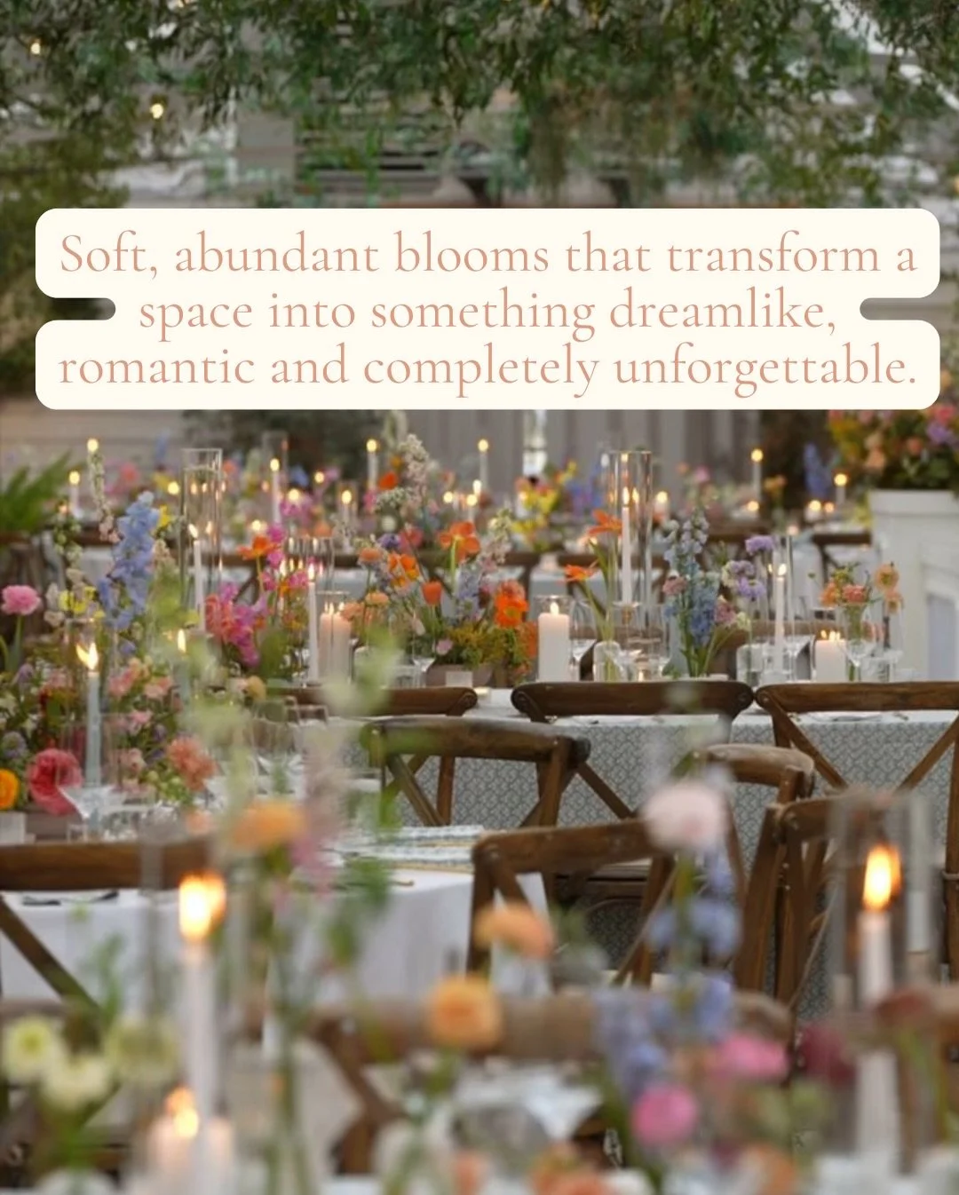 Not every wedding feels the same, and that the beauty of it!

My dream brides are the romantics, the flower lovers, the ones who want warmth, feeling and magic woven into every single detail.

The brides who care about how the day feels just as much 