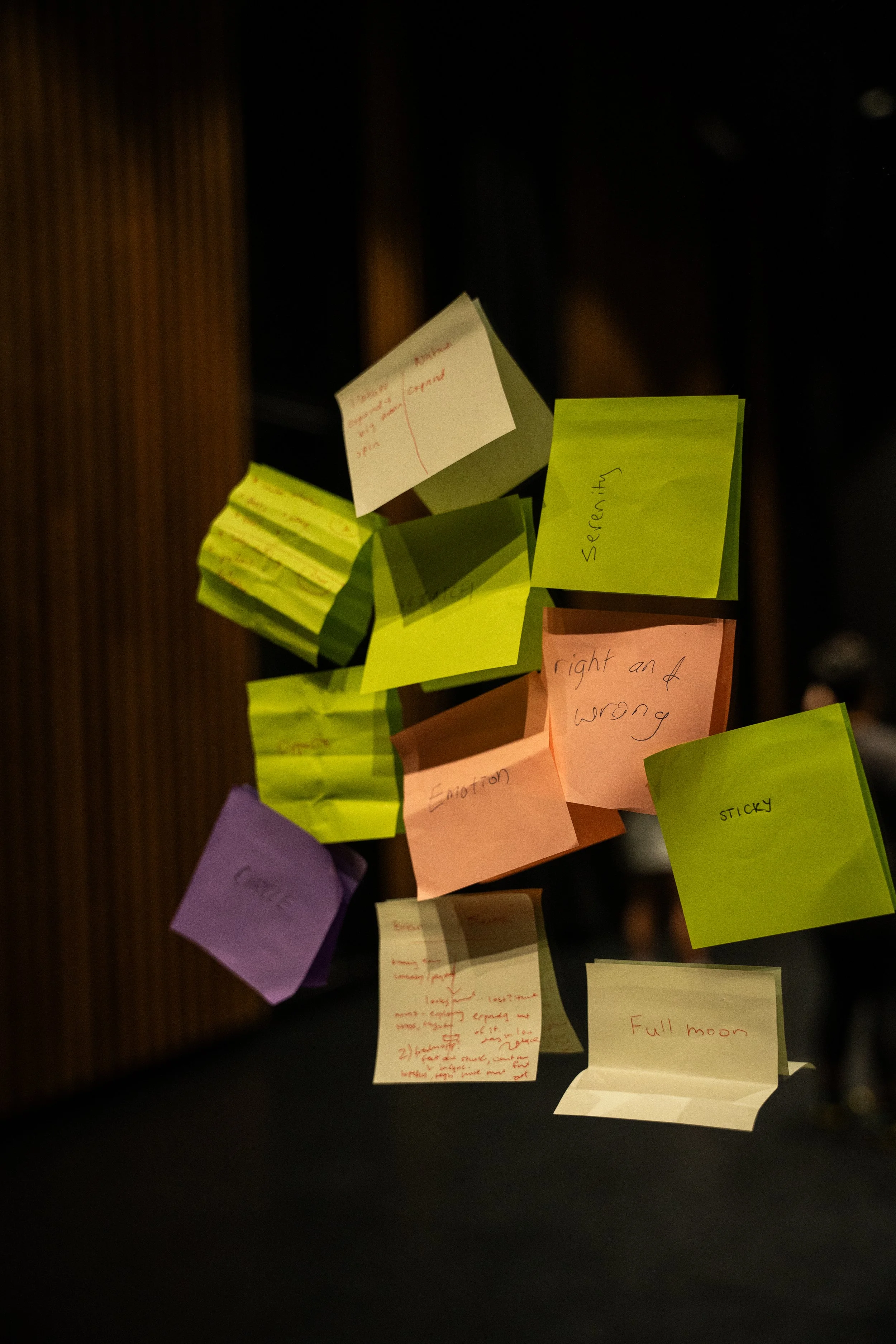 Palette Session Australia - 2024 - photo by Gerard Cabellon.jpg