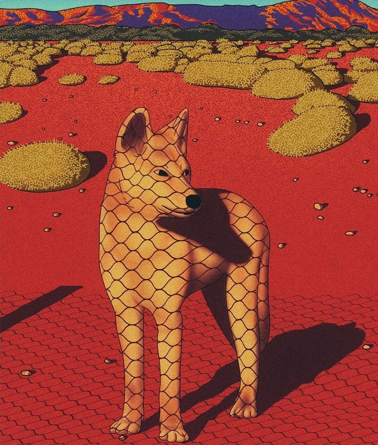 Article: The Dingo’s Fate