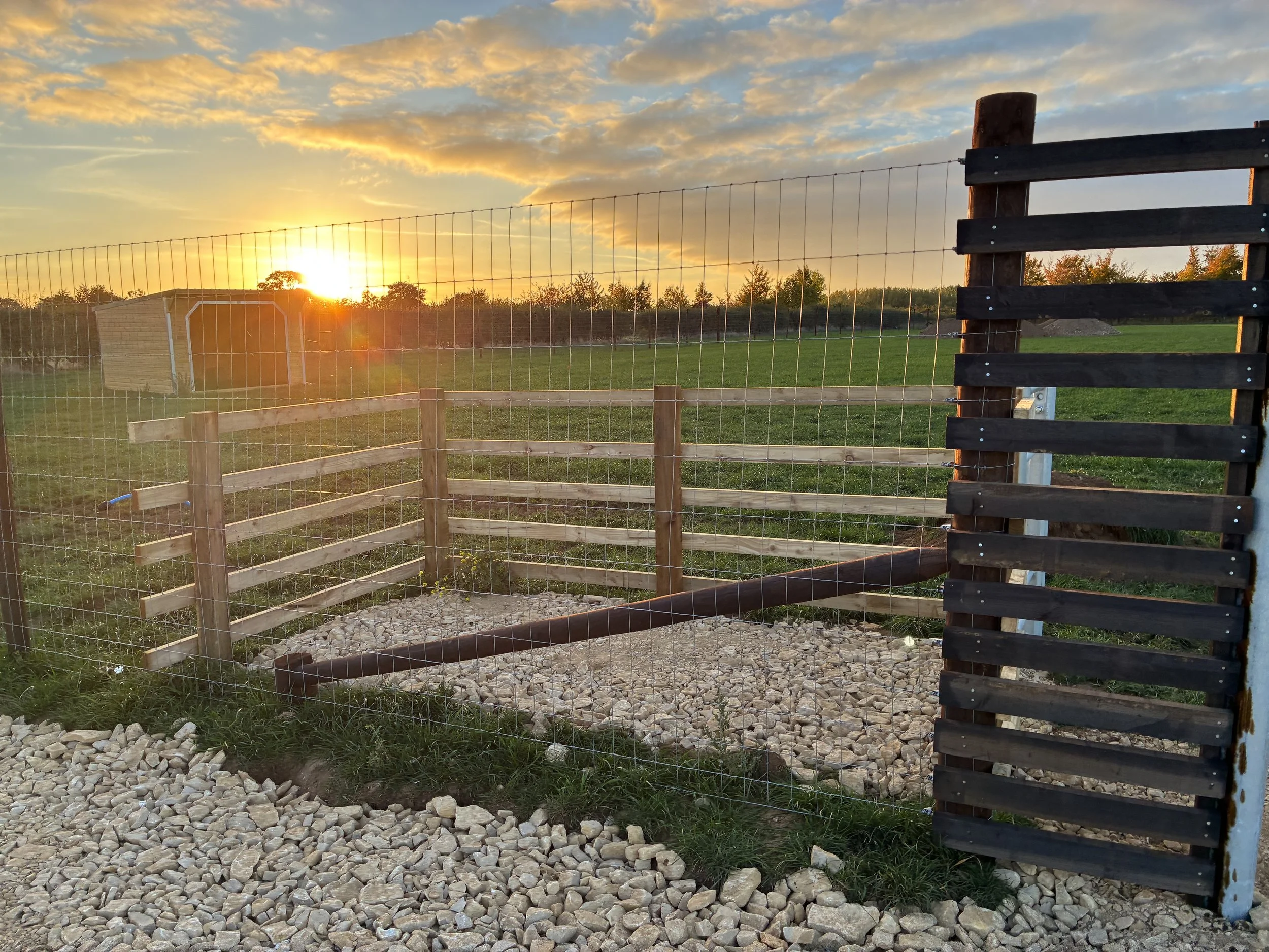 Fenced dog walking area