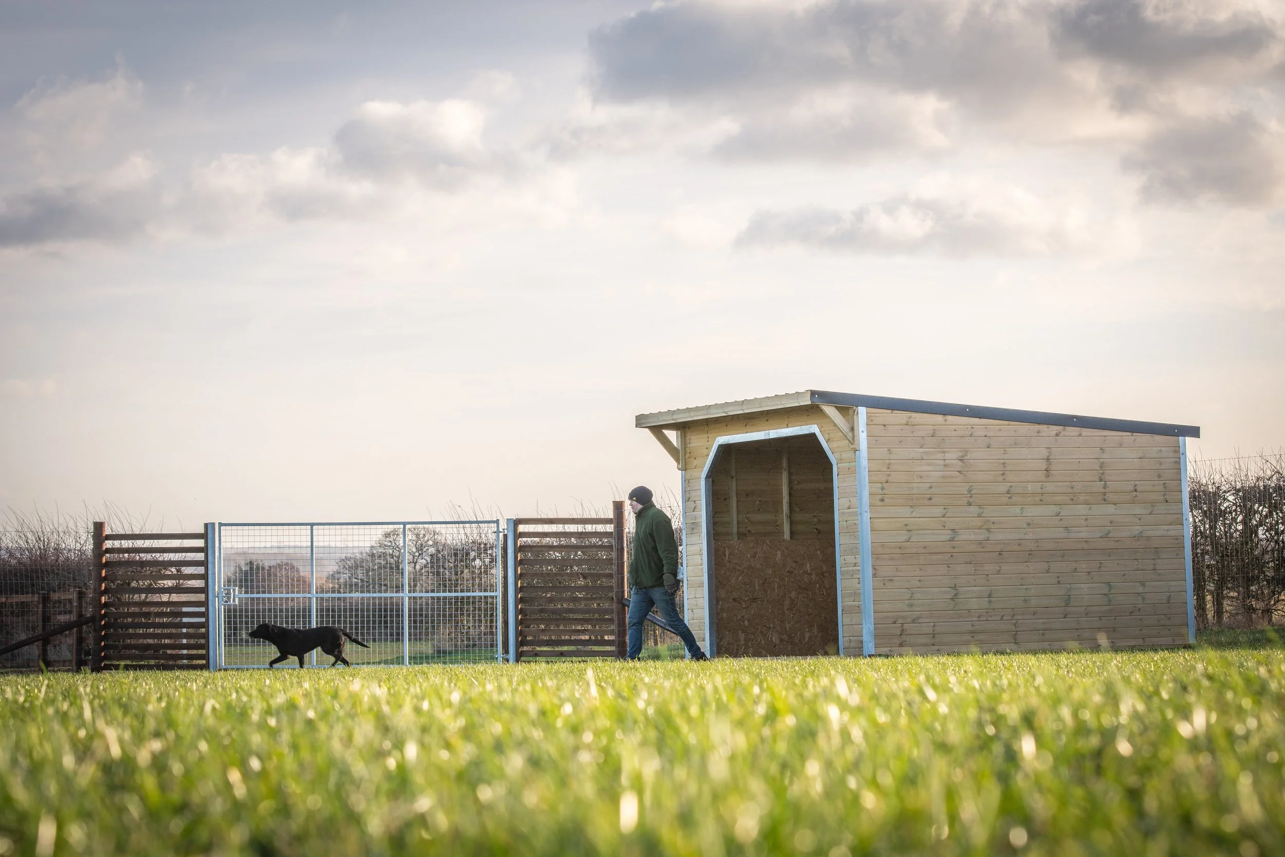 Dog Paddock Shelter