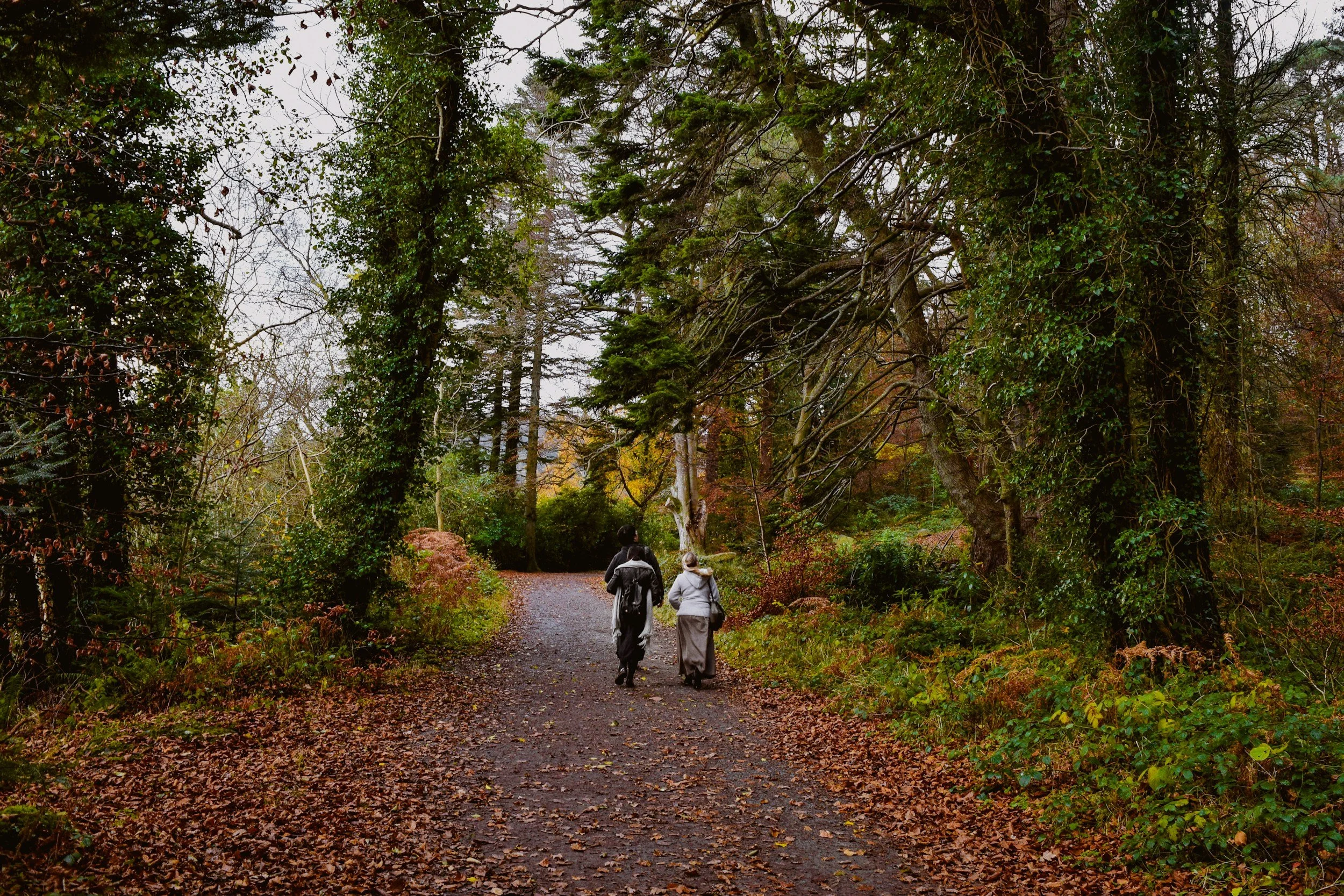 10 Easy Family Walks in Northern Ireland Kids Will Love