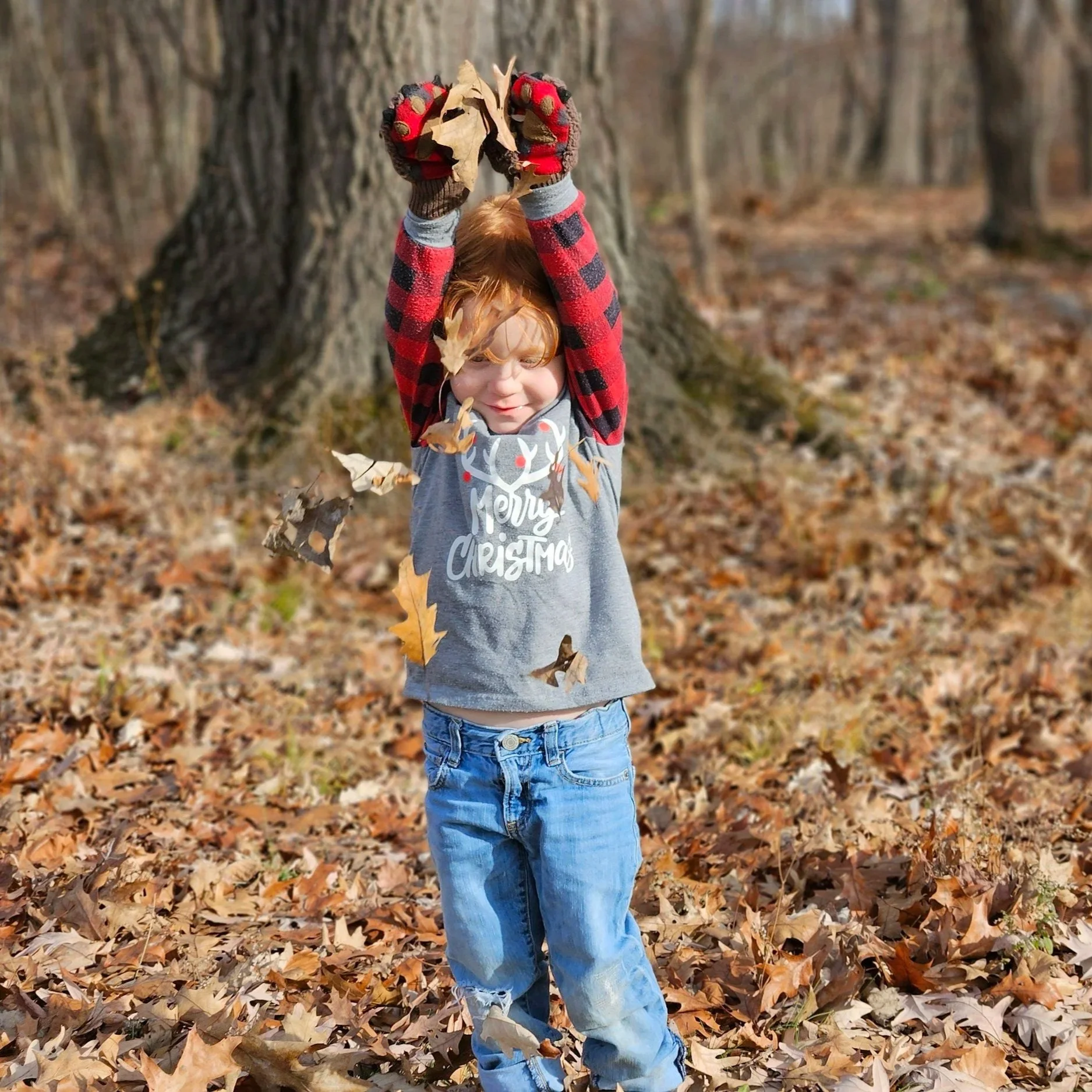 50 Things Kids Can Find on a Forest Walk 🌲